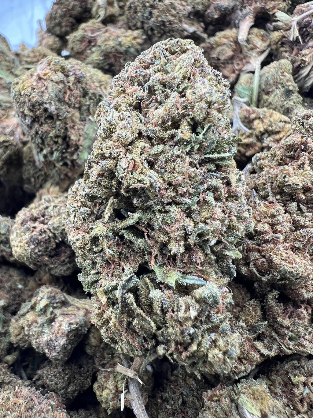 MOUNTAIN KUSH [350]