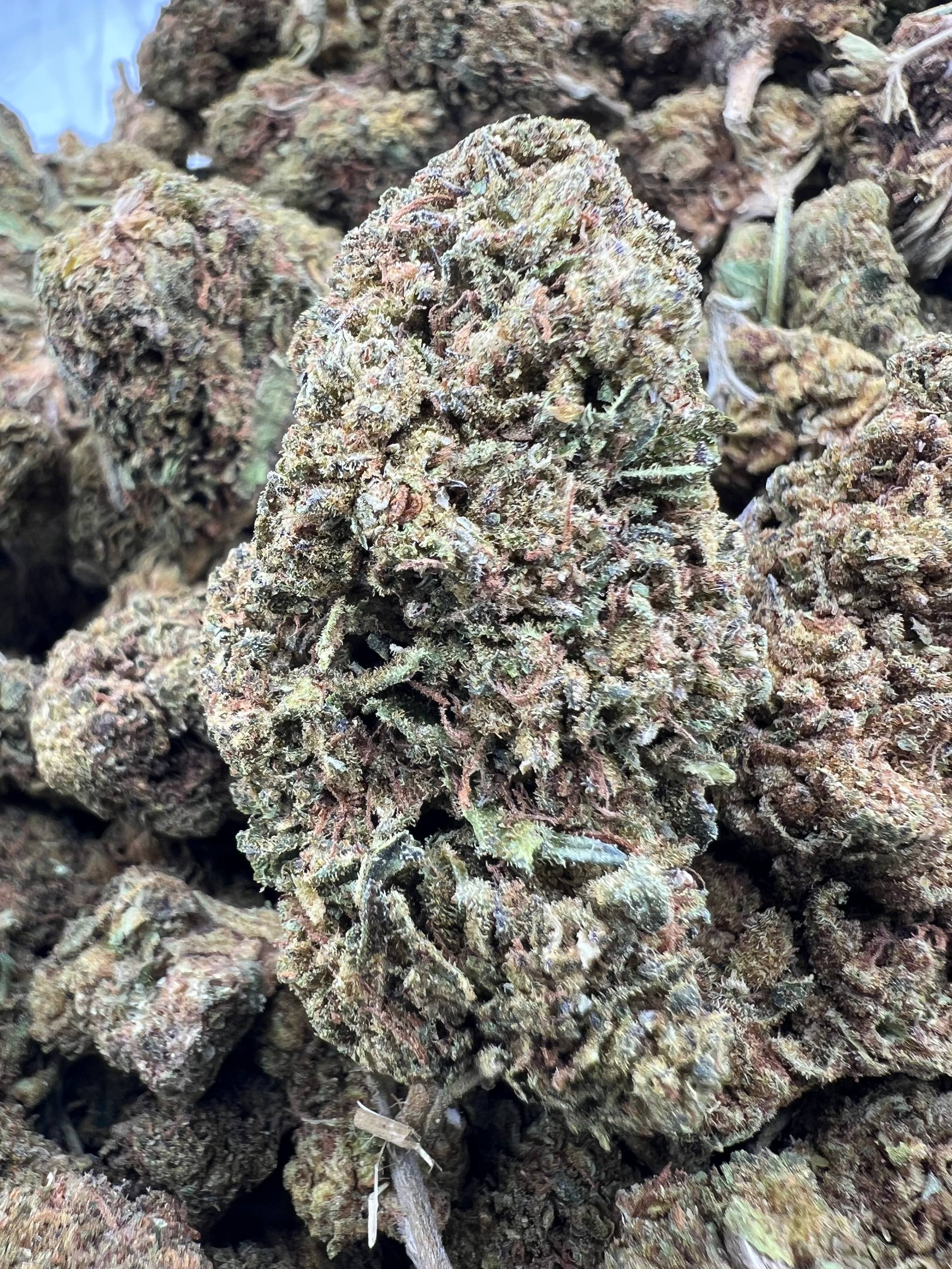 MOUNTAIN KUSH [350]