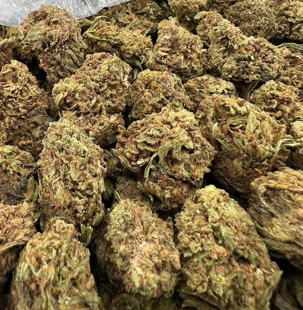 ALIEN GELATO [450]