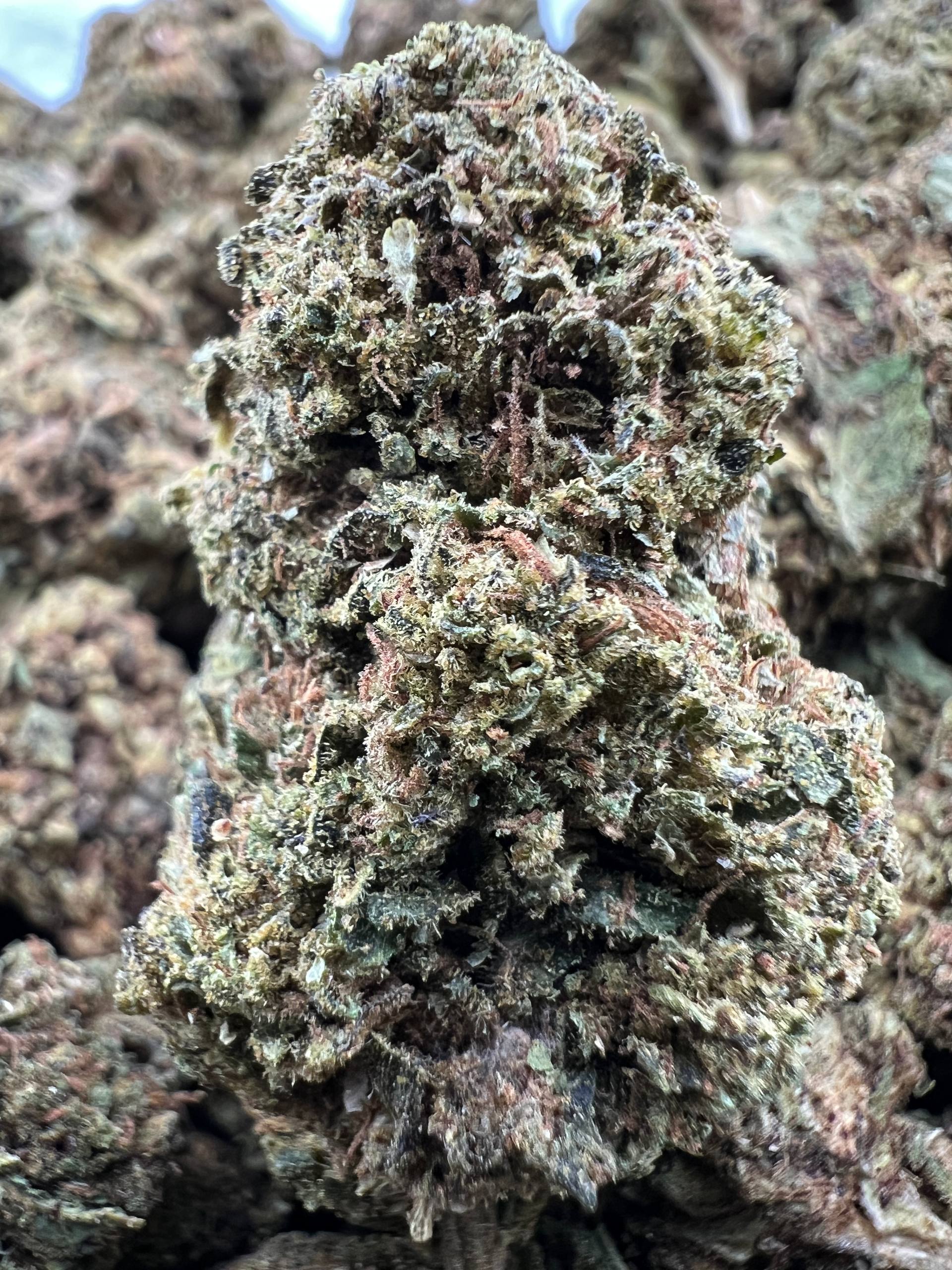 SAPPHIRE COOKIES [250]