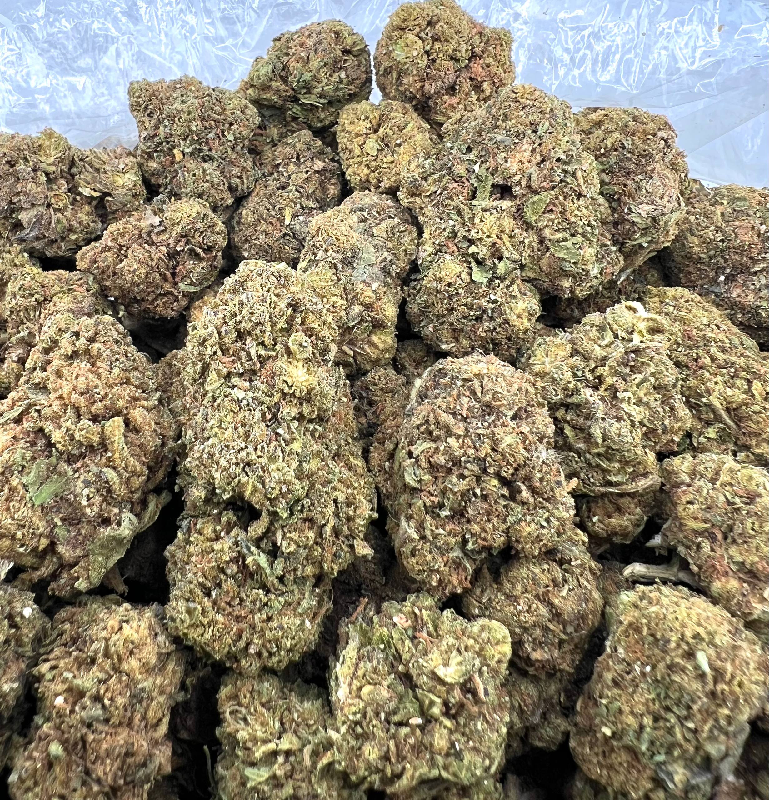 SAPPHIRE COOKIES [250]