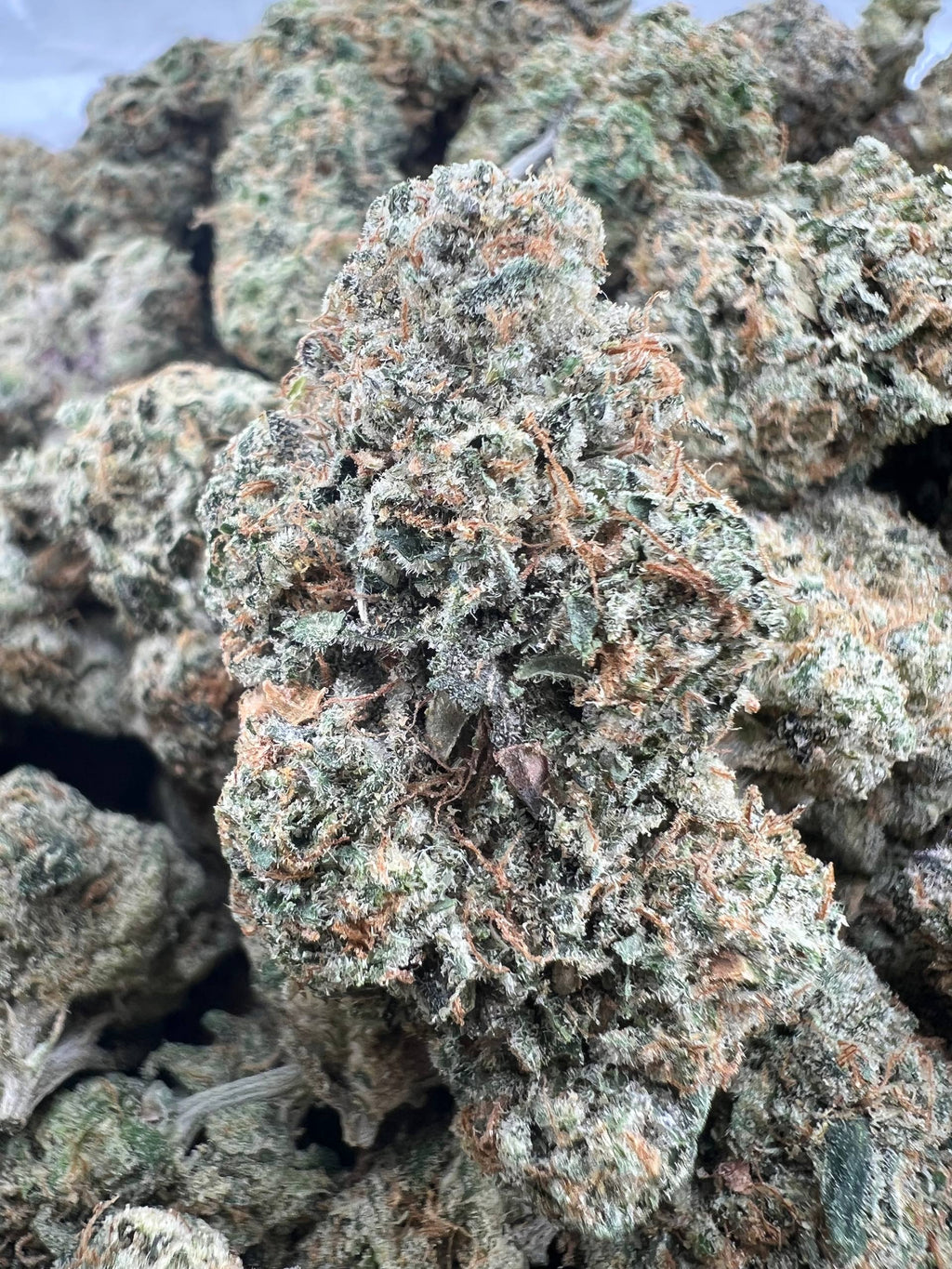 SFV OG [850]