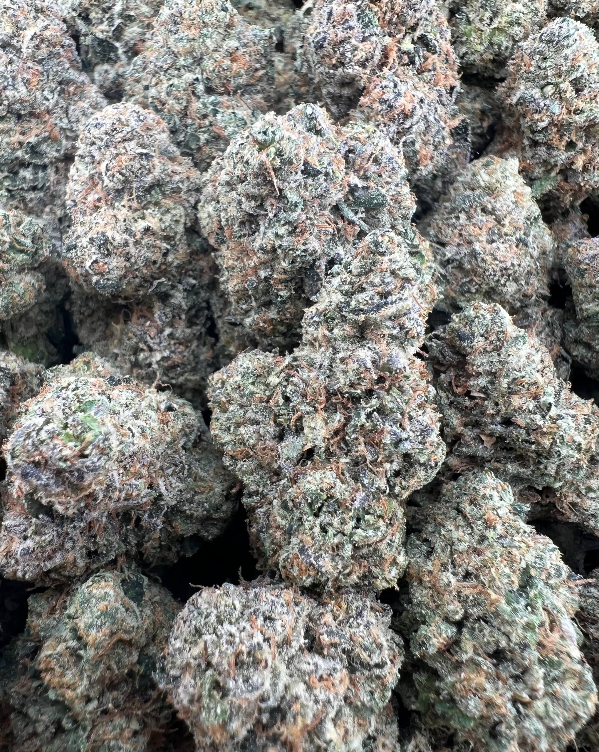 SFV OG [850]