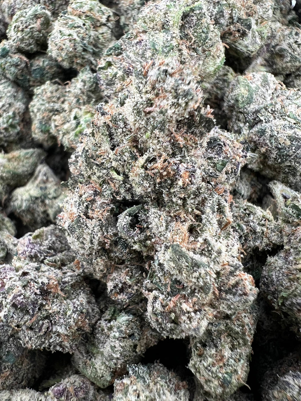 GUAVA BERRY RUNTZ [900]