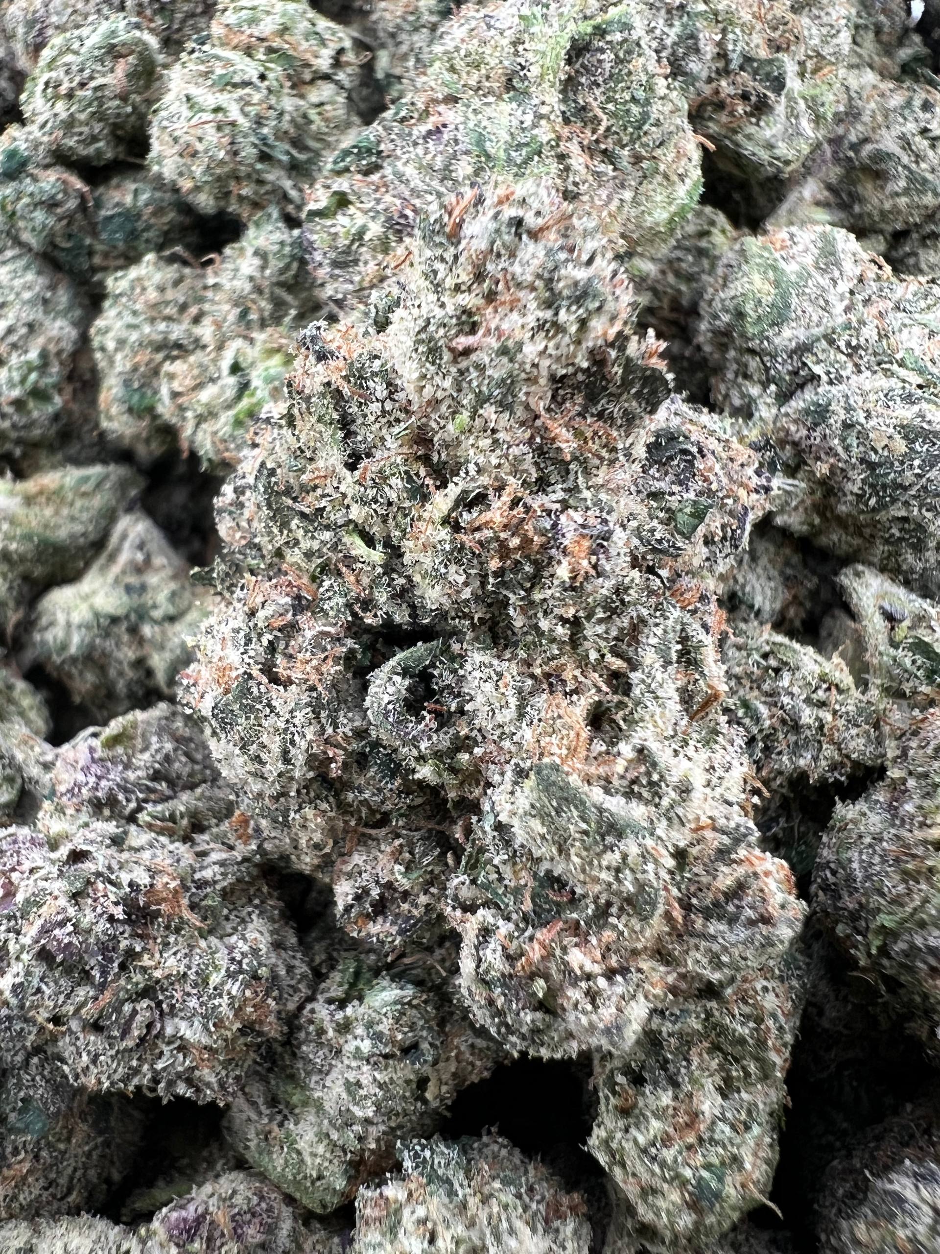 GUAVA BERRY RUNTZ [900]