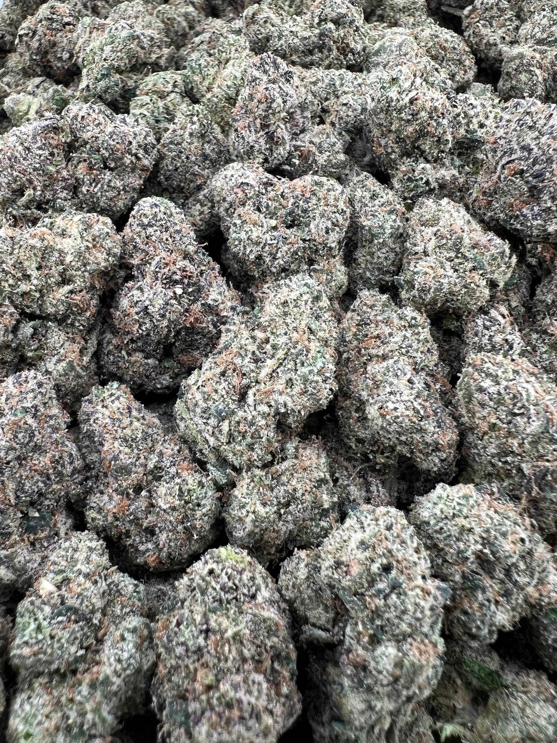 GUAVA BERRY RUNTZ [900]