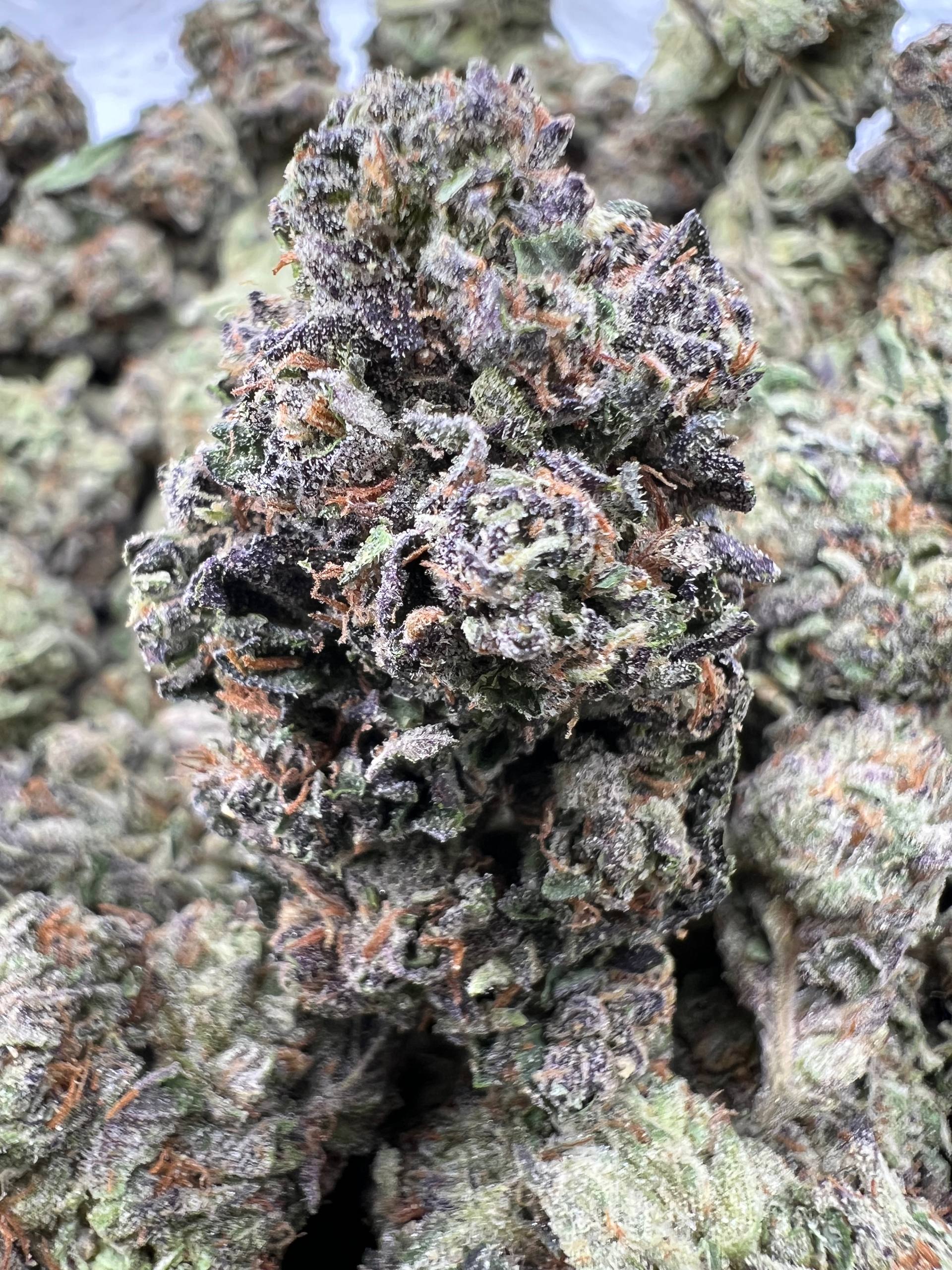 FRUITY PEBBLES [550]