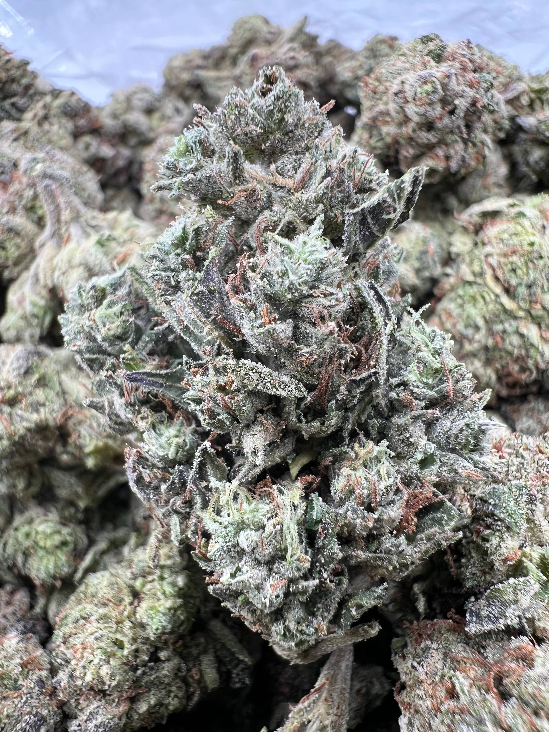 CANDY THIZZ [575]