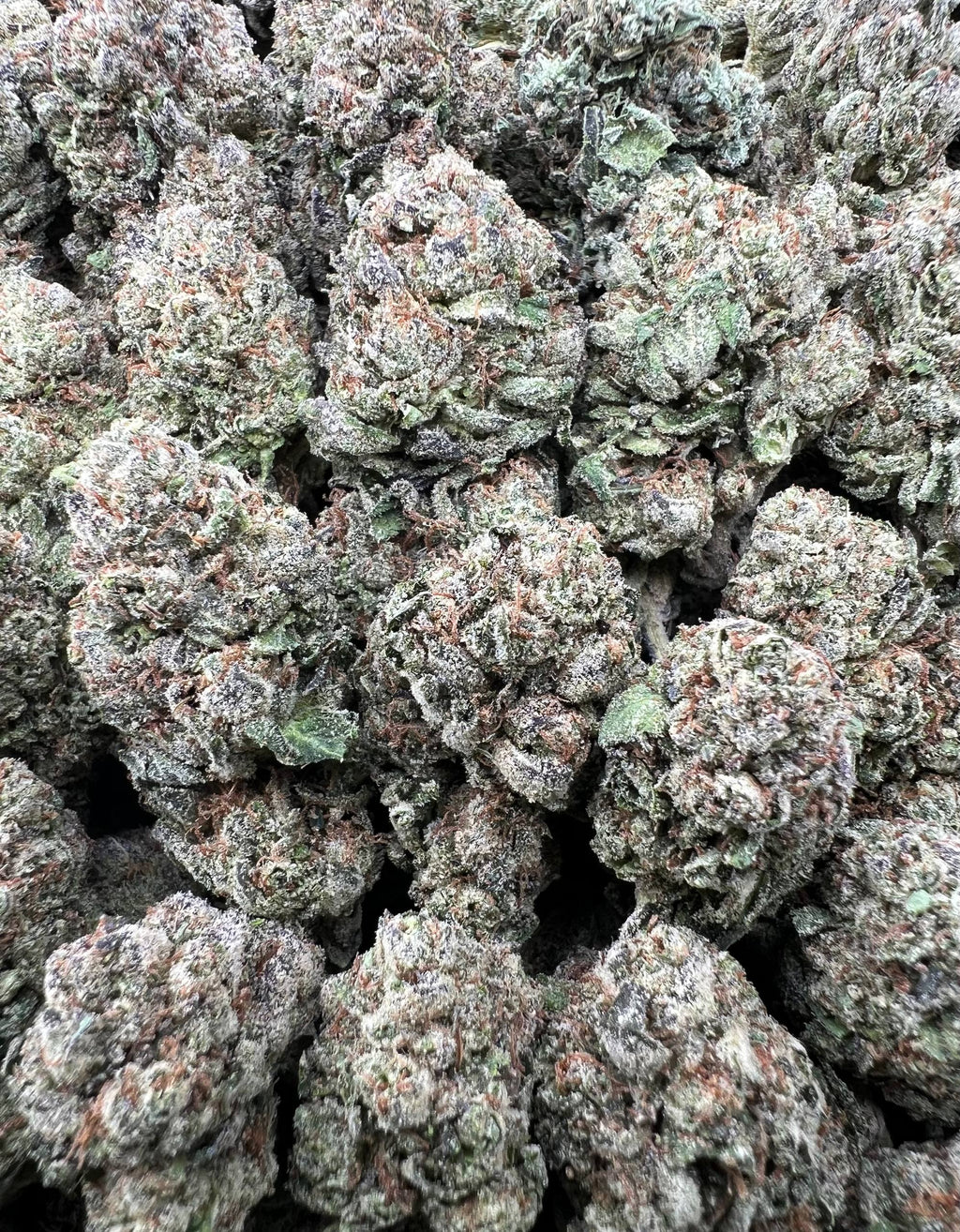 CANDY THIZZ [575]