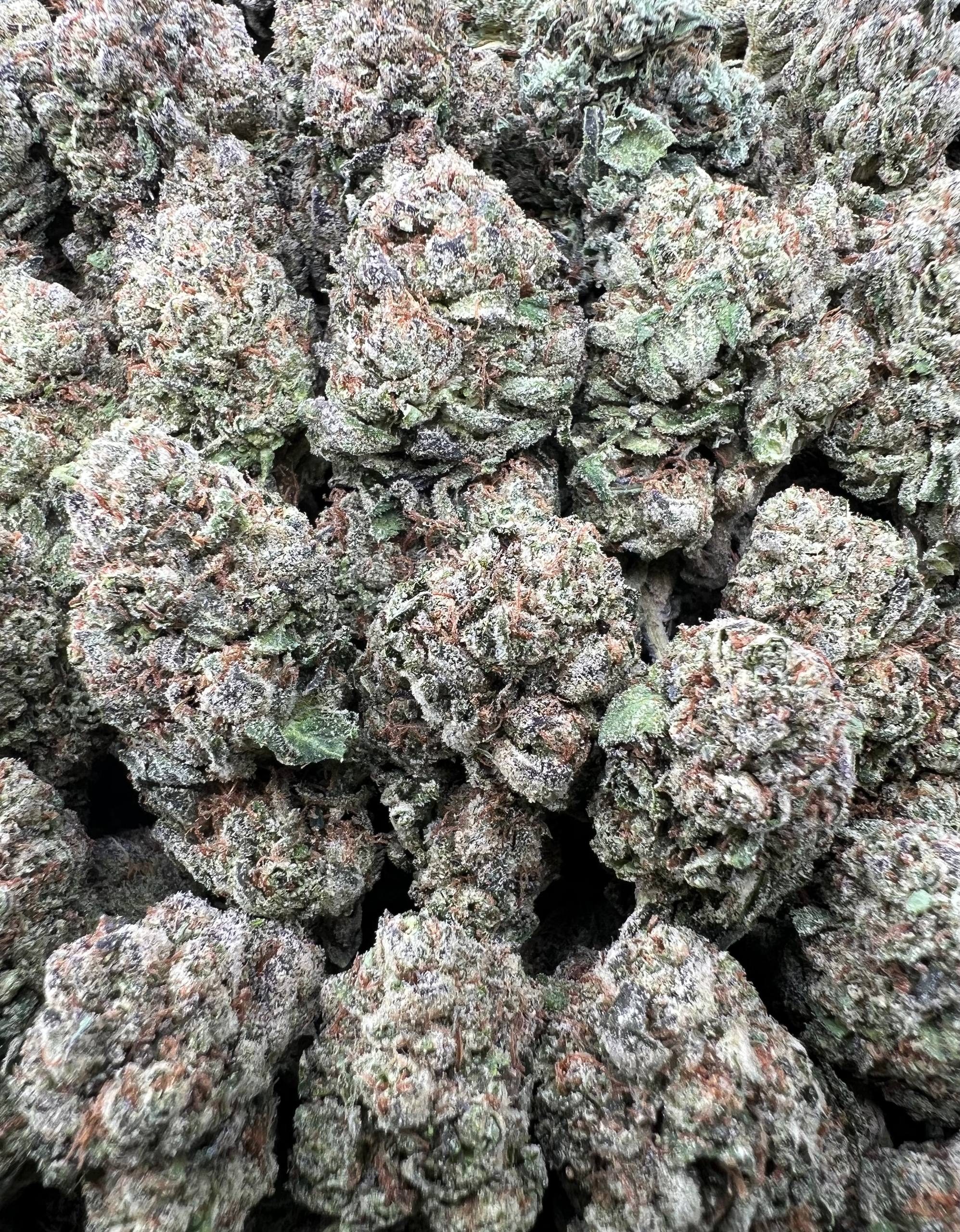 CANDY THIZZ [575]