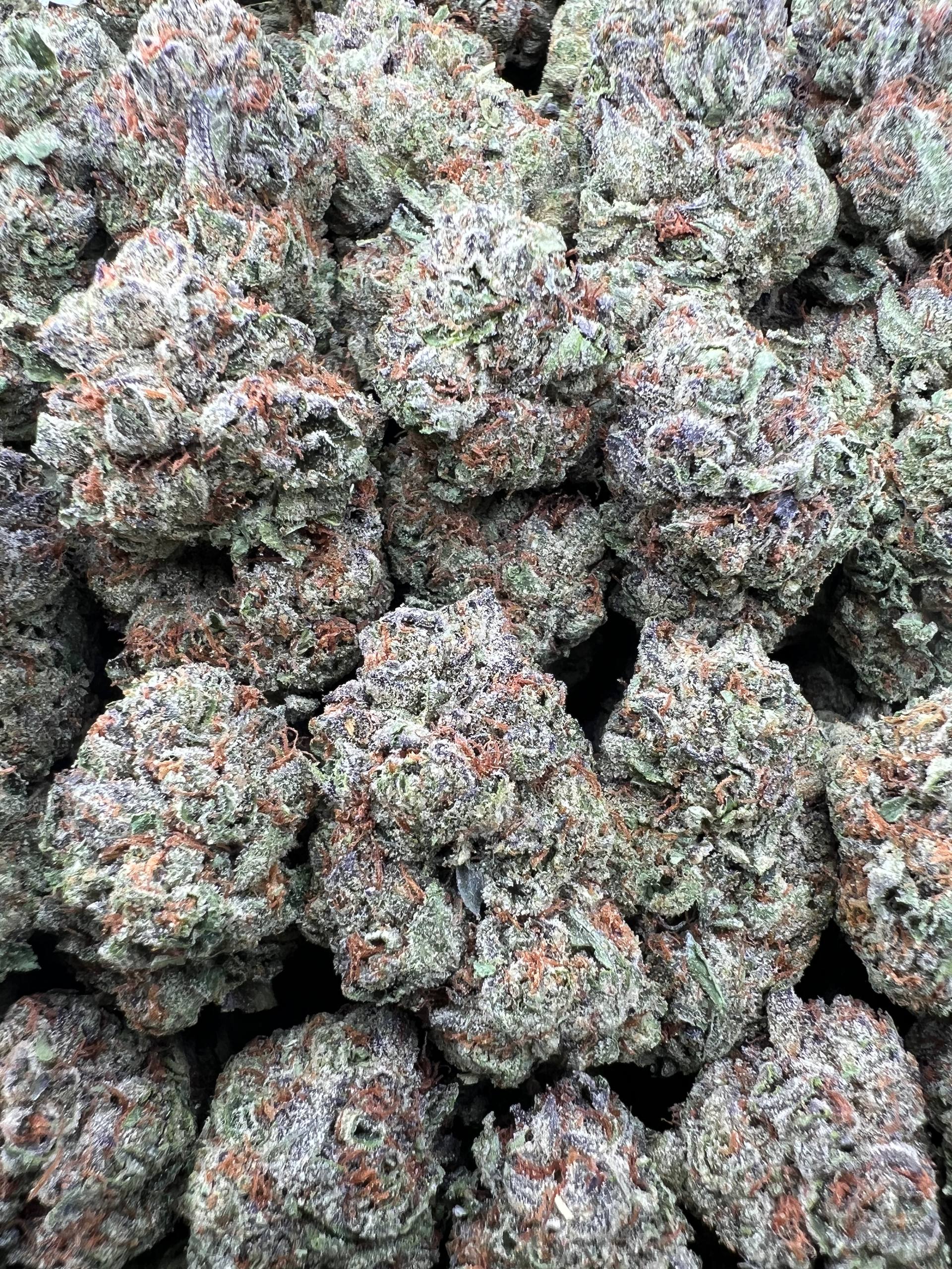 PURPLE ICEEZ [475]