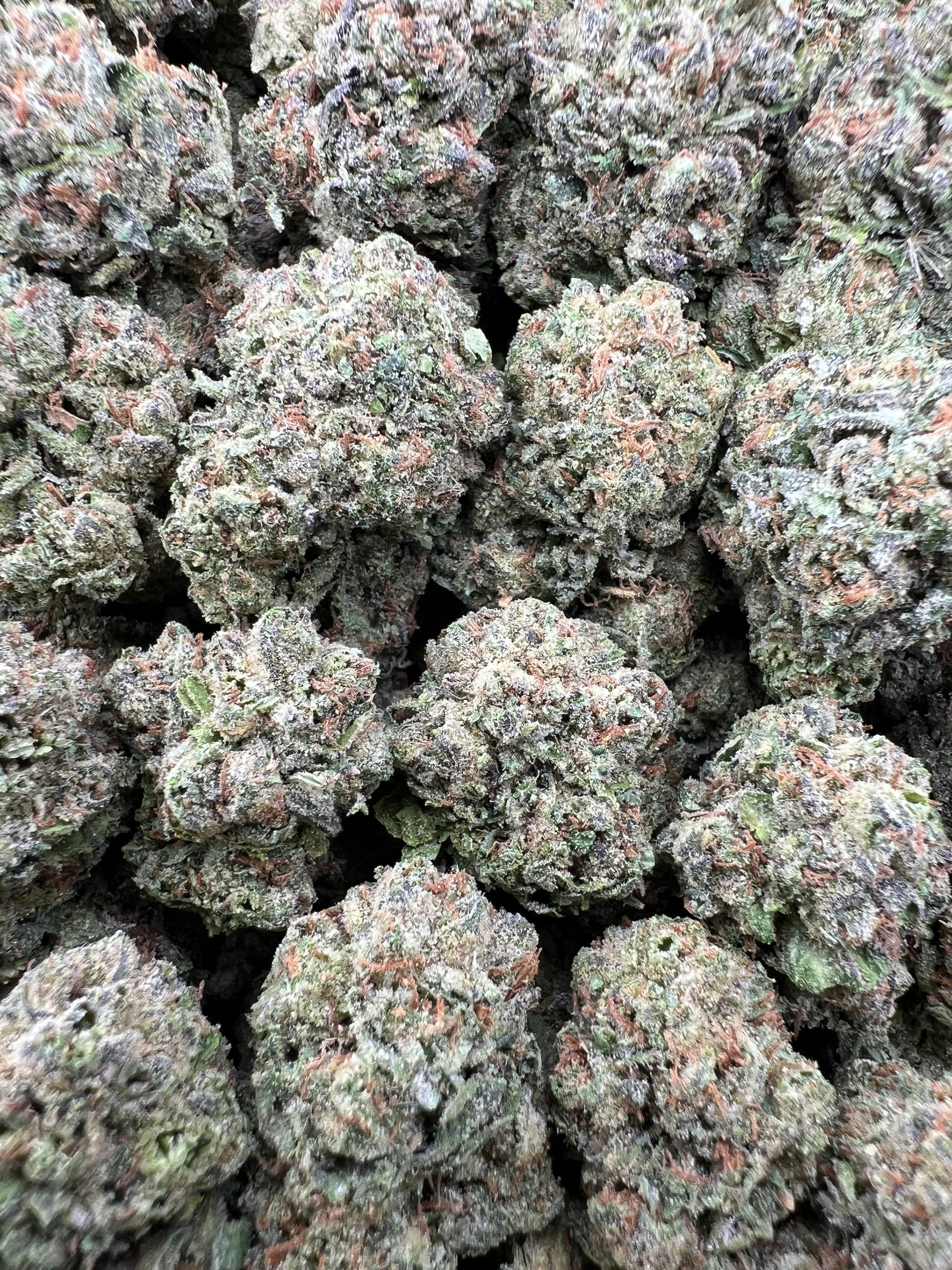 BLUEBERRY RUNTZ [550]