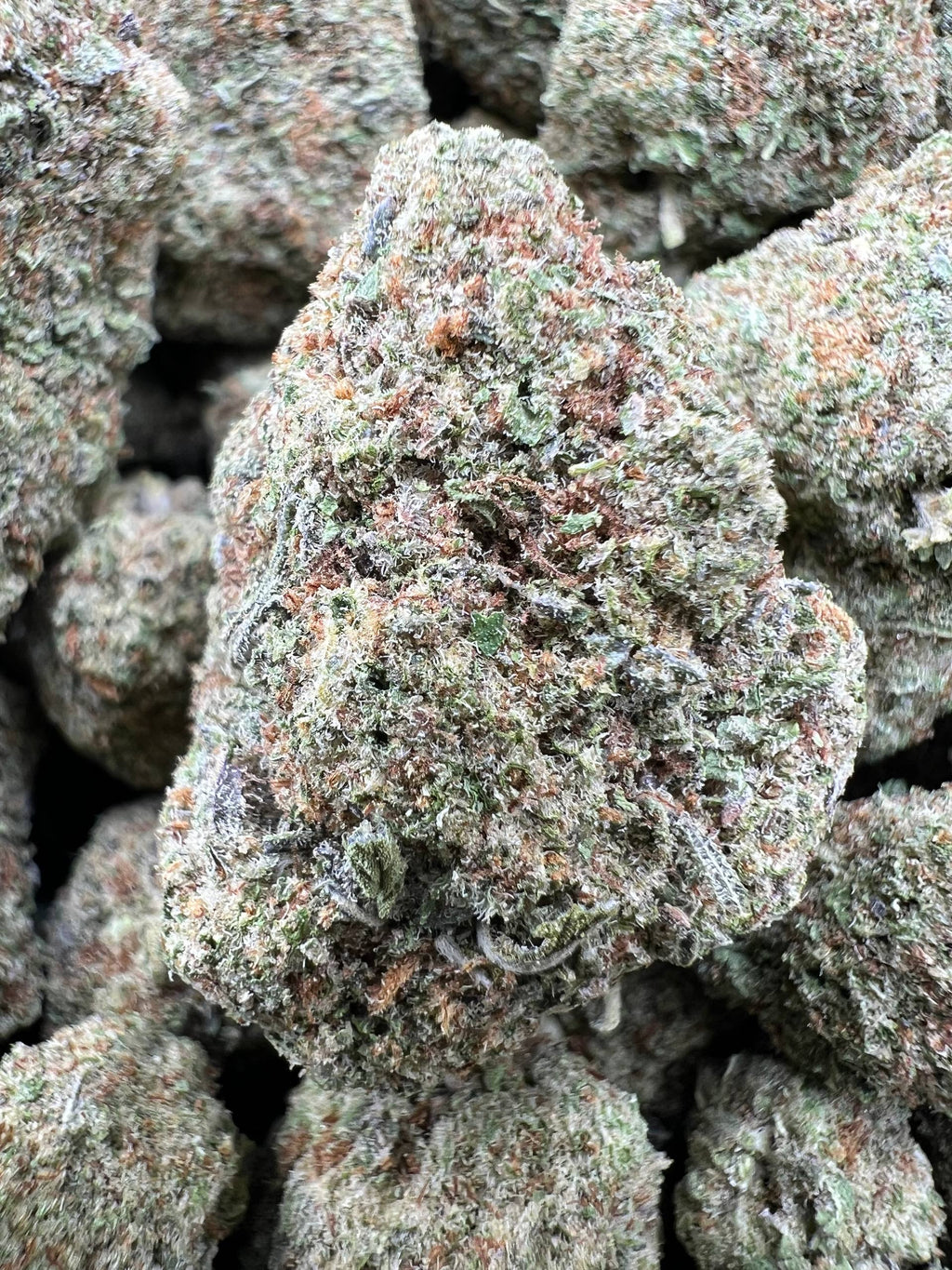 SPACE CAKE [475]