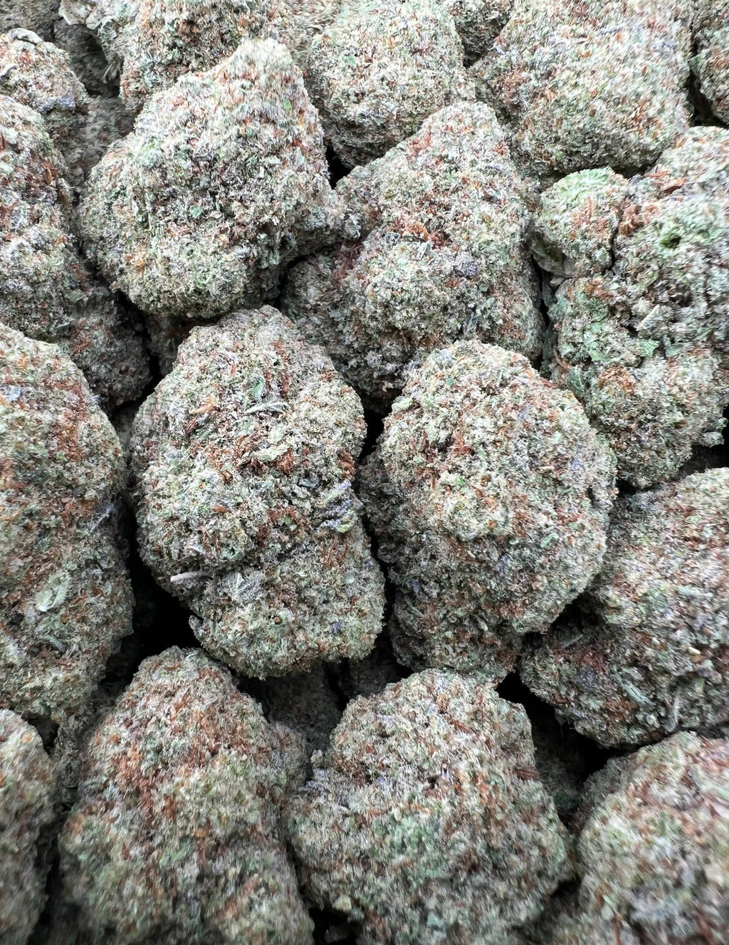 SPACE CAKE [475]