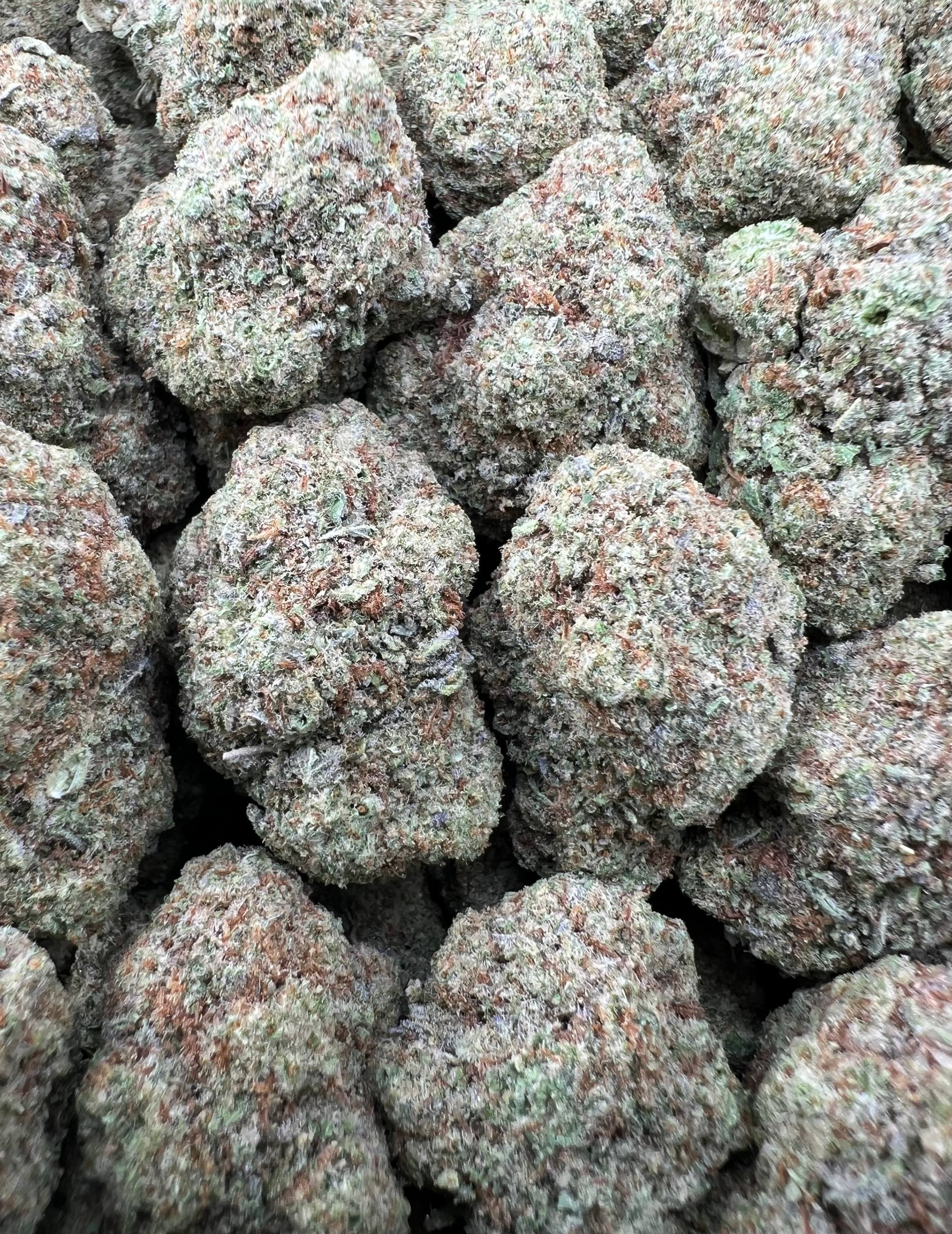 SPACE CAKE [475]