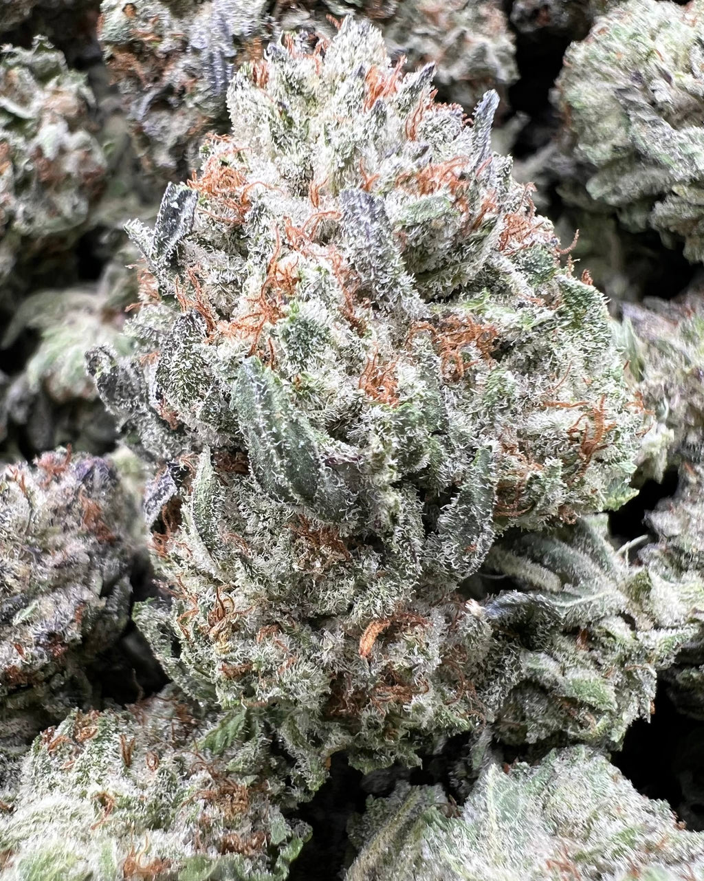 PINK SMORES [500]