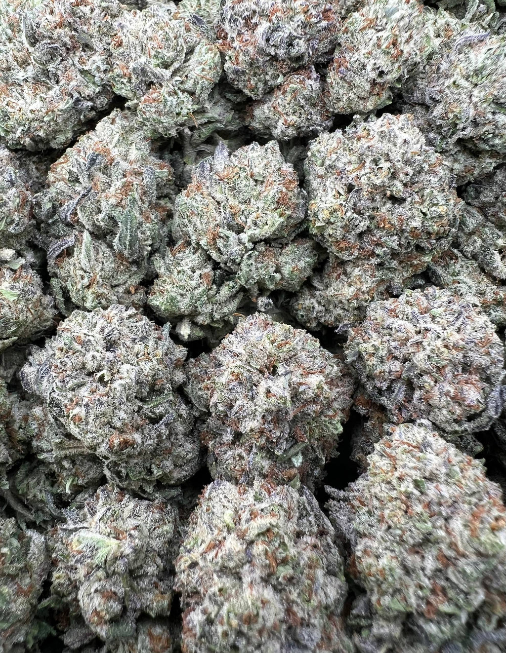 PINK SMORES [500]