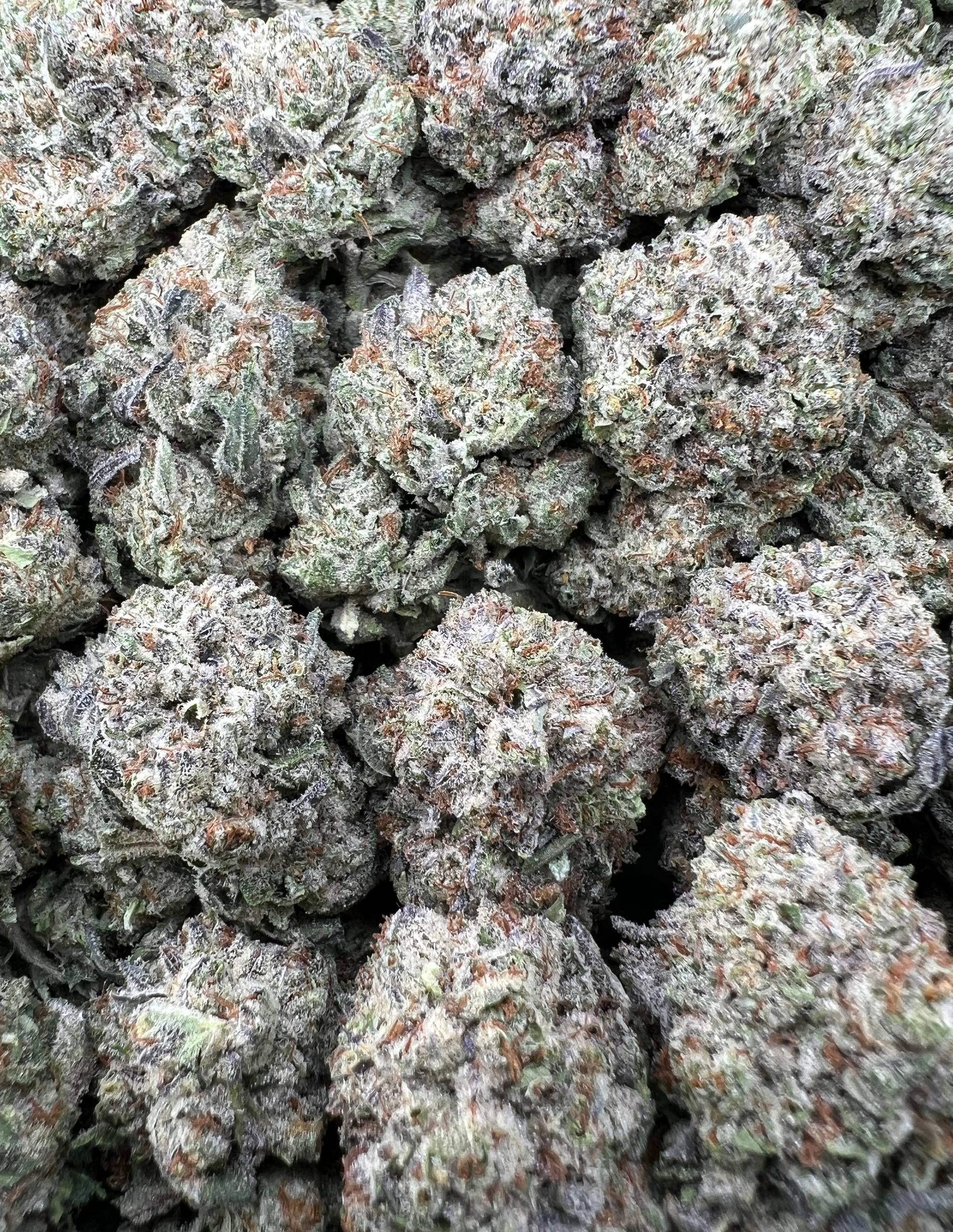 PINK SMORES [500]