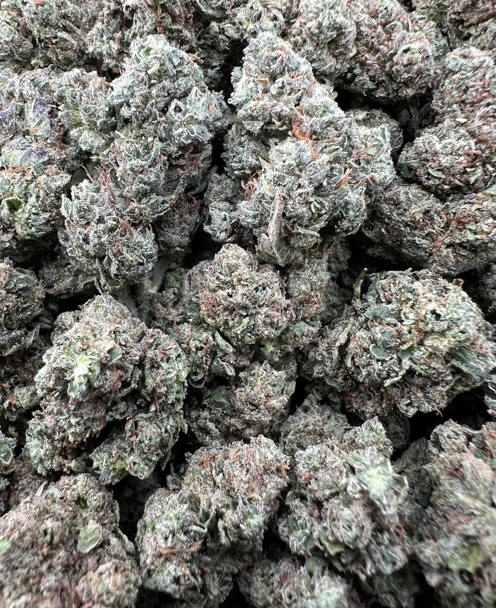 GREEN CHERRIEZ [475]