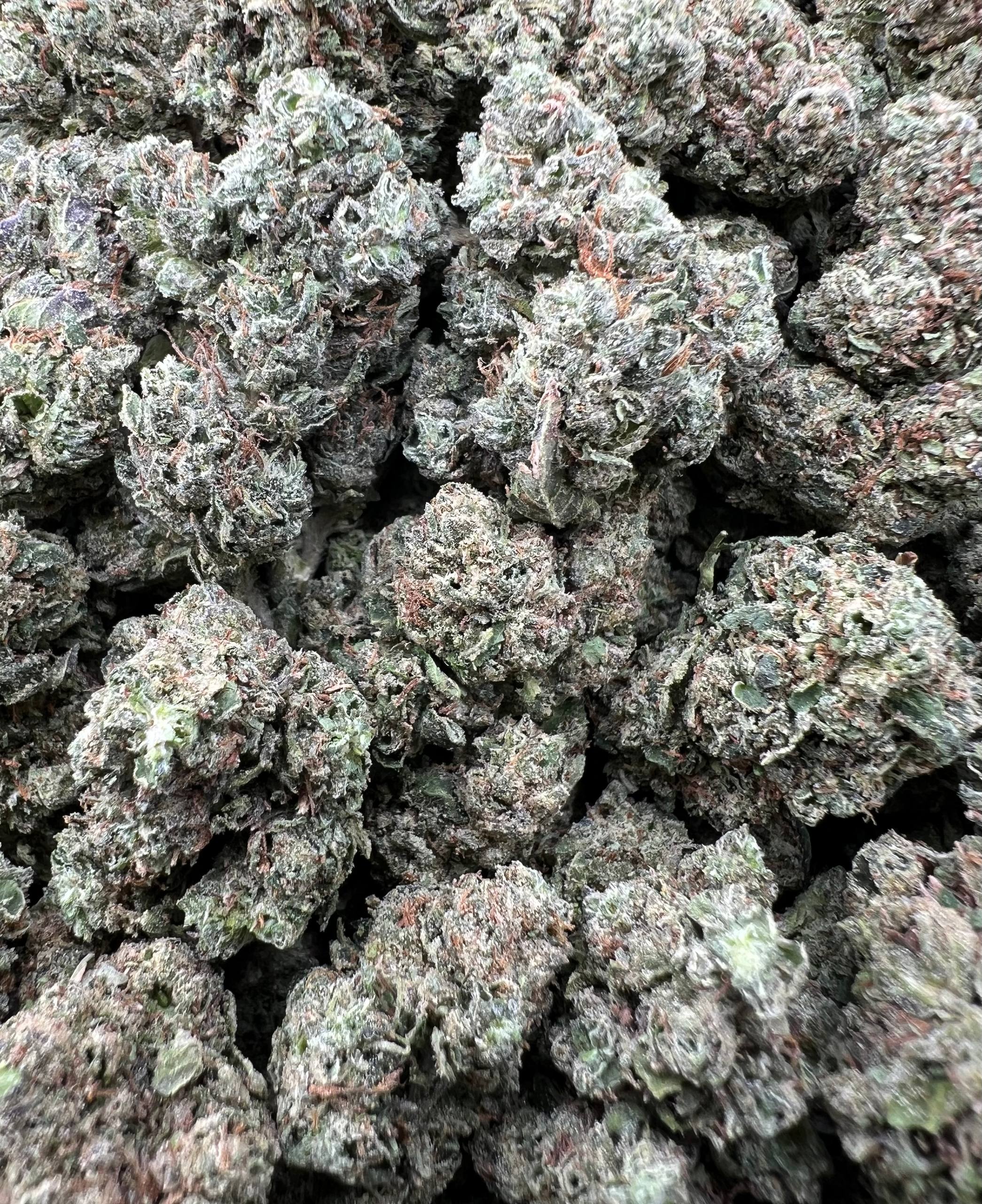 GREEN CHERRIEZ [475]