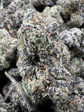BLUE BENJIS [1050]