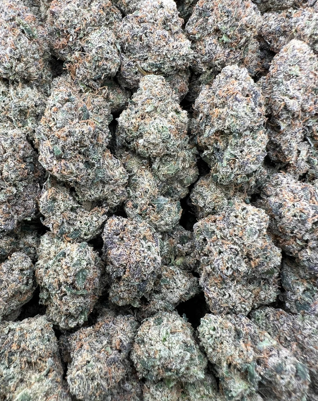 WHITE CHERRY RUNTZ [975]