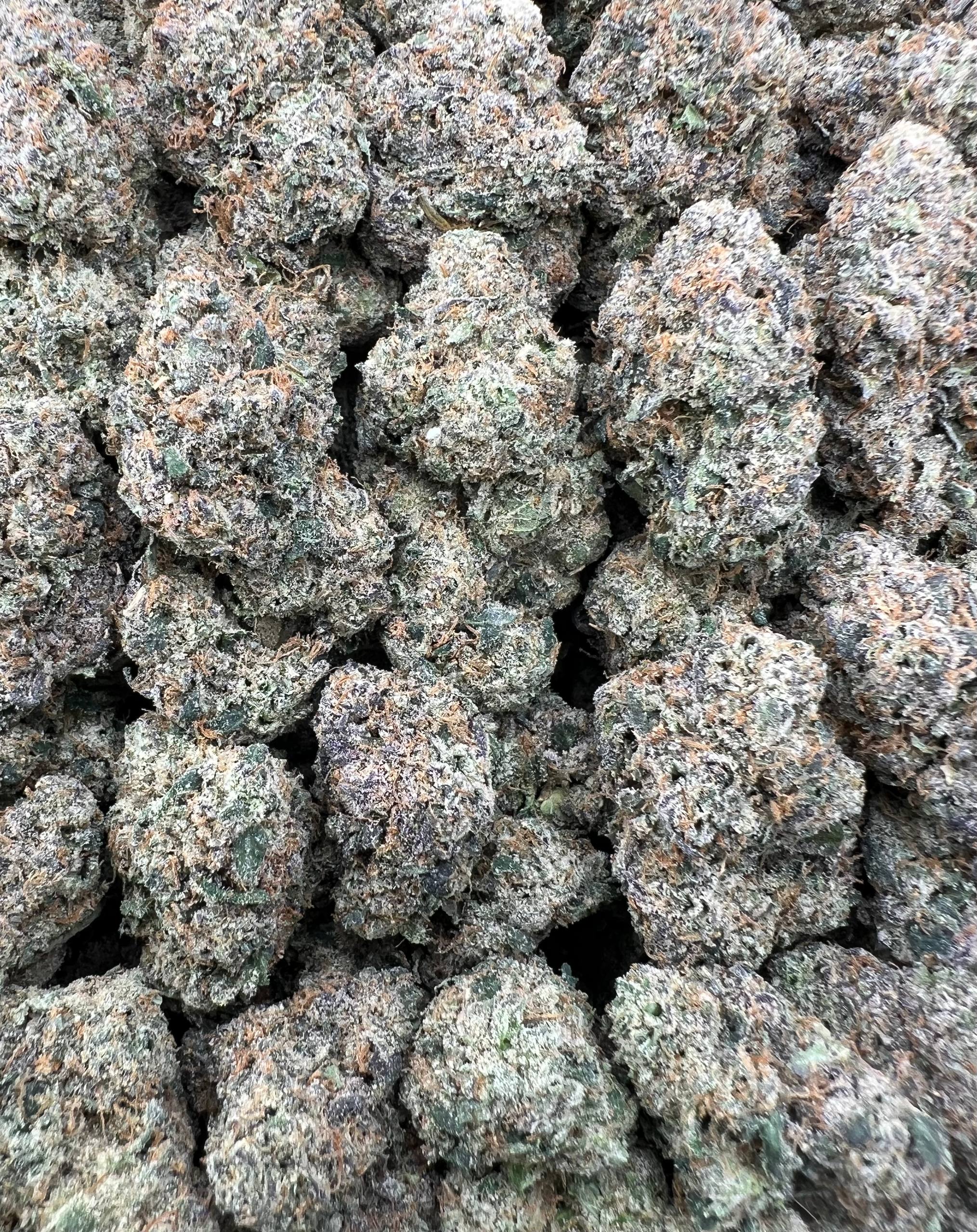 WHITE CHERRY RUNTZ [975]