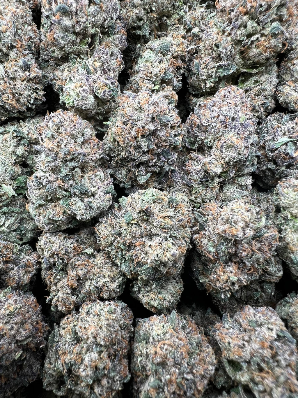 PINK CHERRY RUNTZ [925]