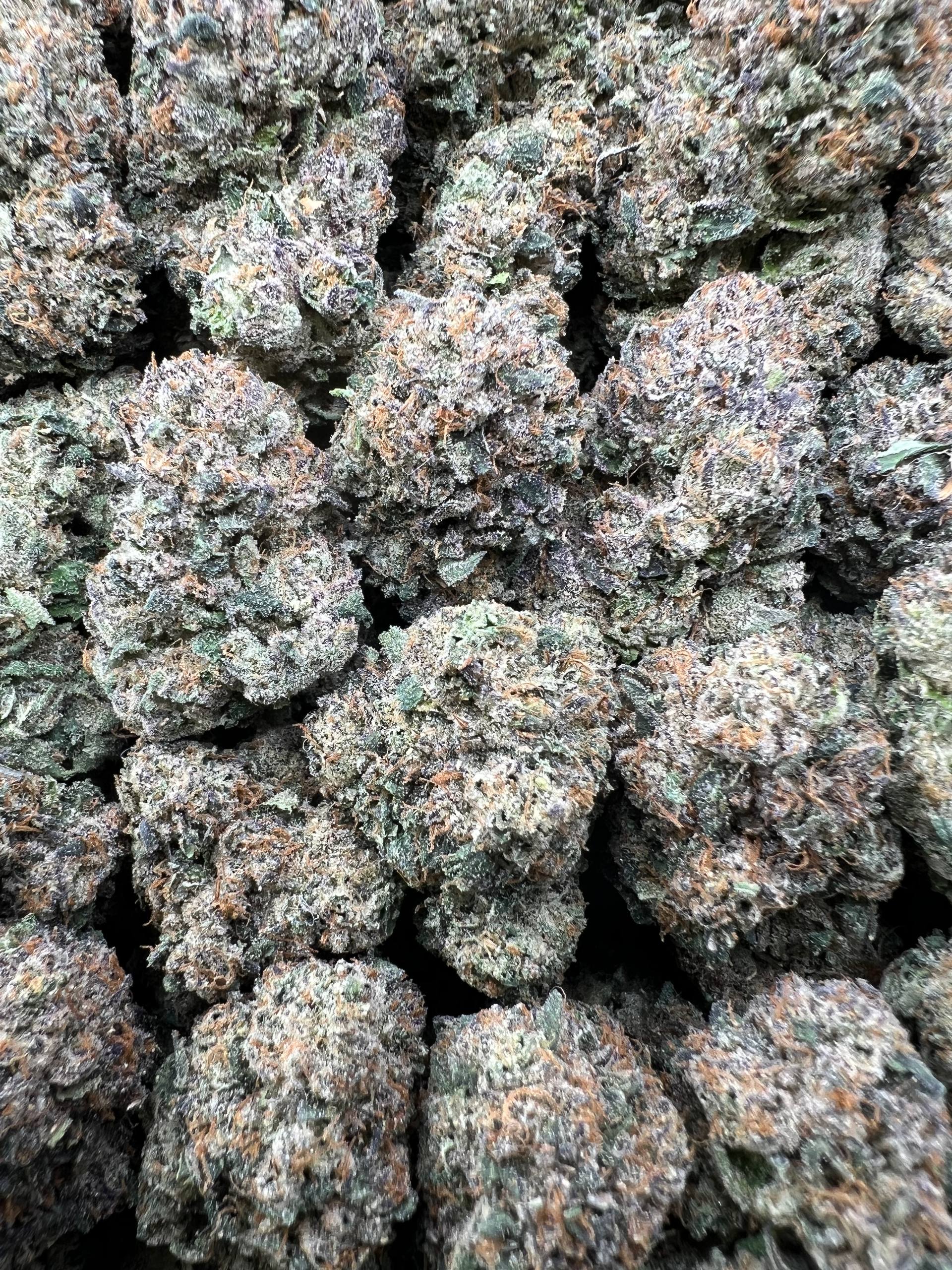 PINK CHERRY RUNTZ [925]