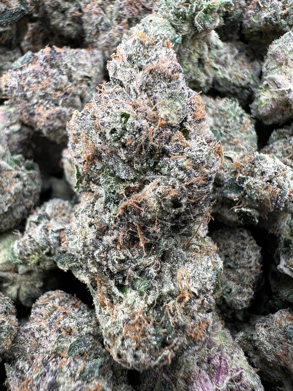 BLUE CANDY CERTZ [950]