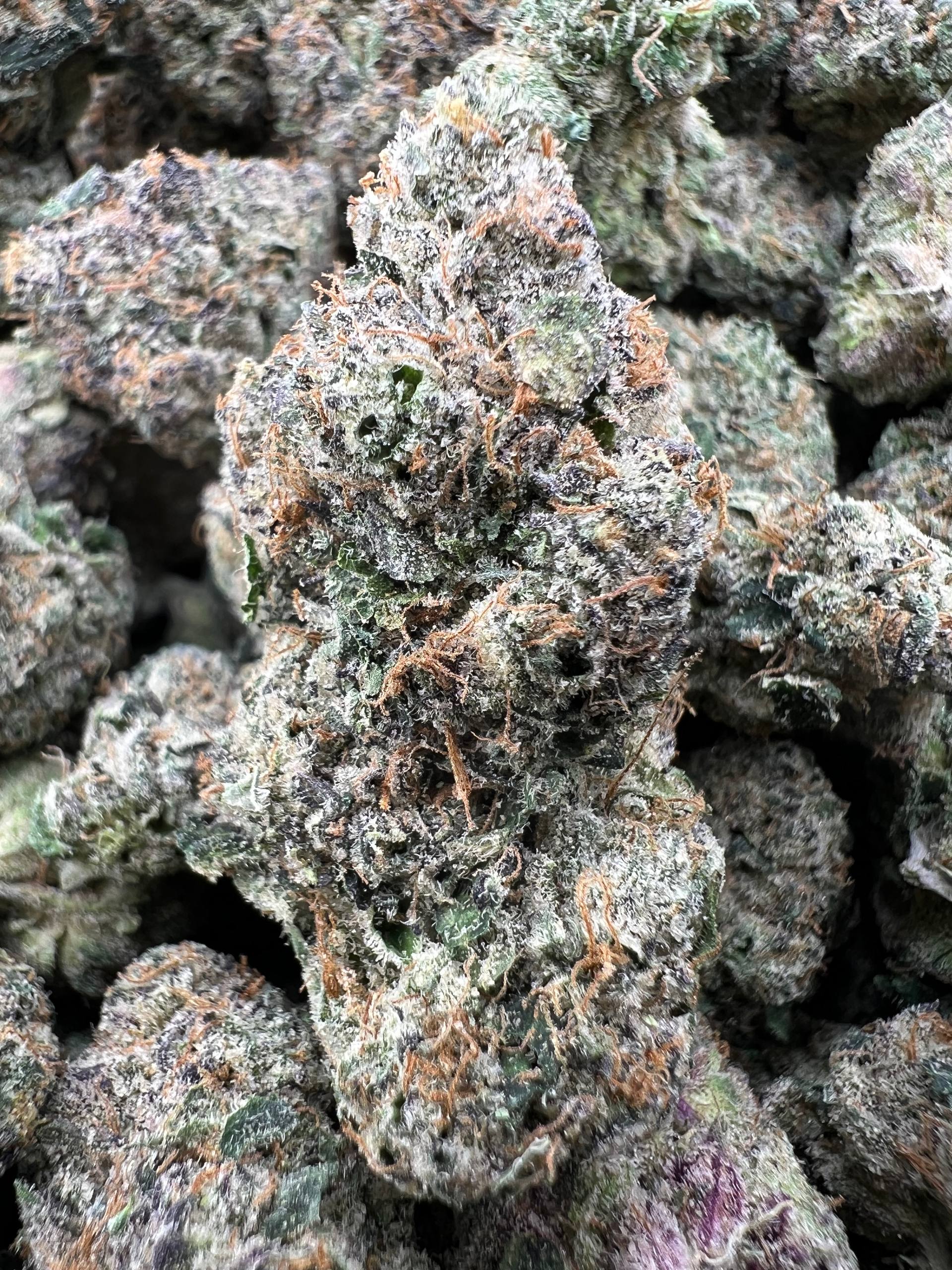 BLUE CANDY CERTZ [950]