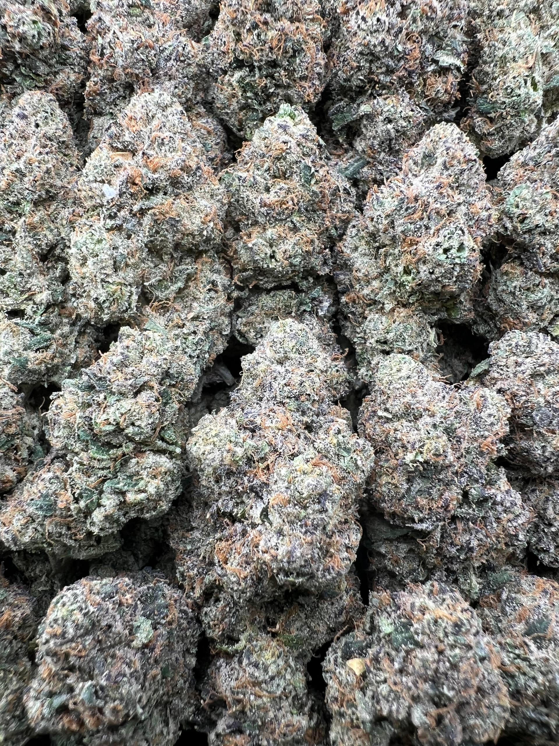 BLUE CANDY CERTZ [950]