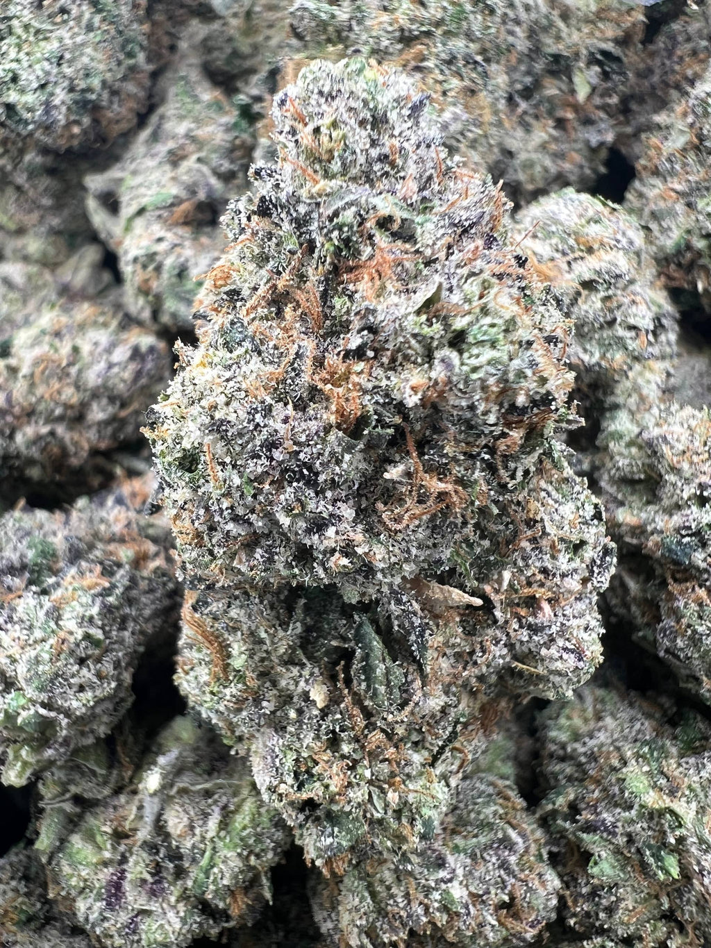 DUNKIN CHERRIEZ [1050]