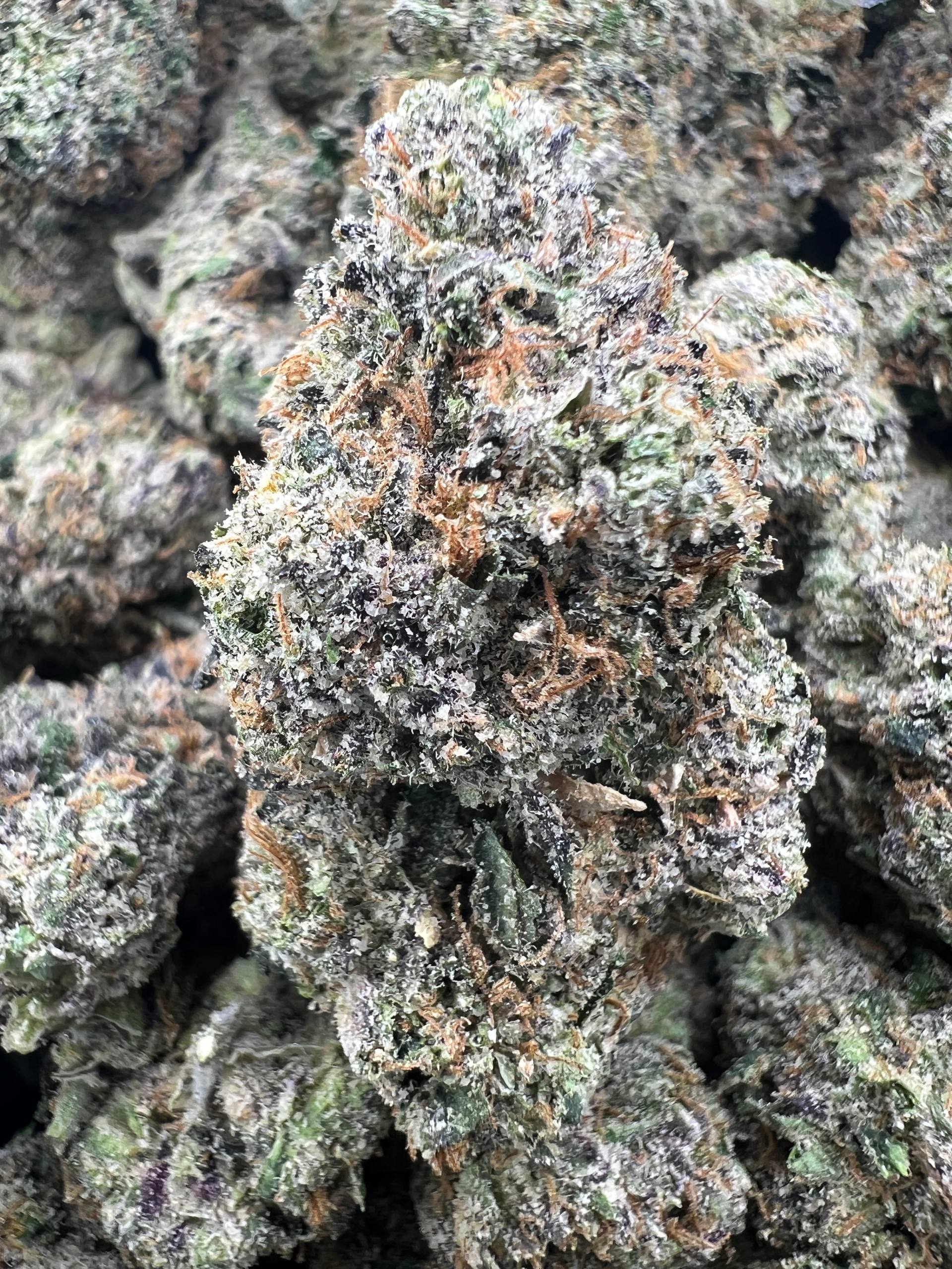 DUNKIN CHERRIEZ [1050]