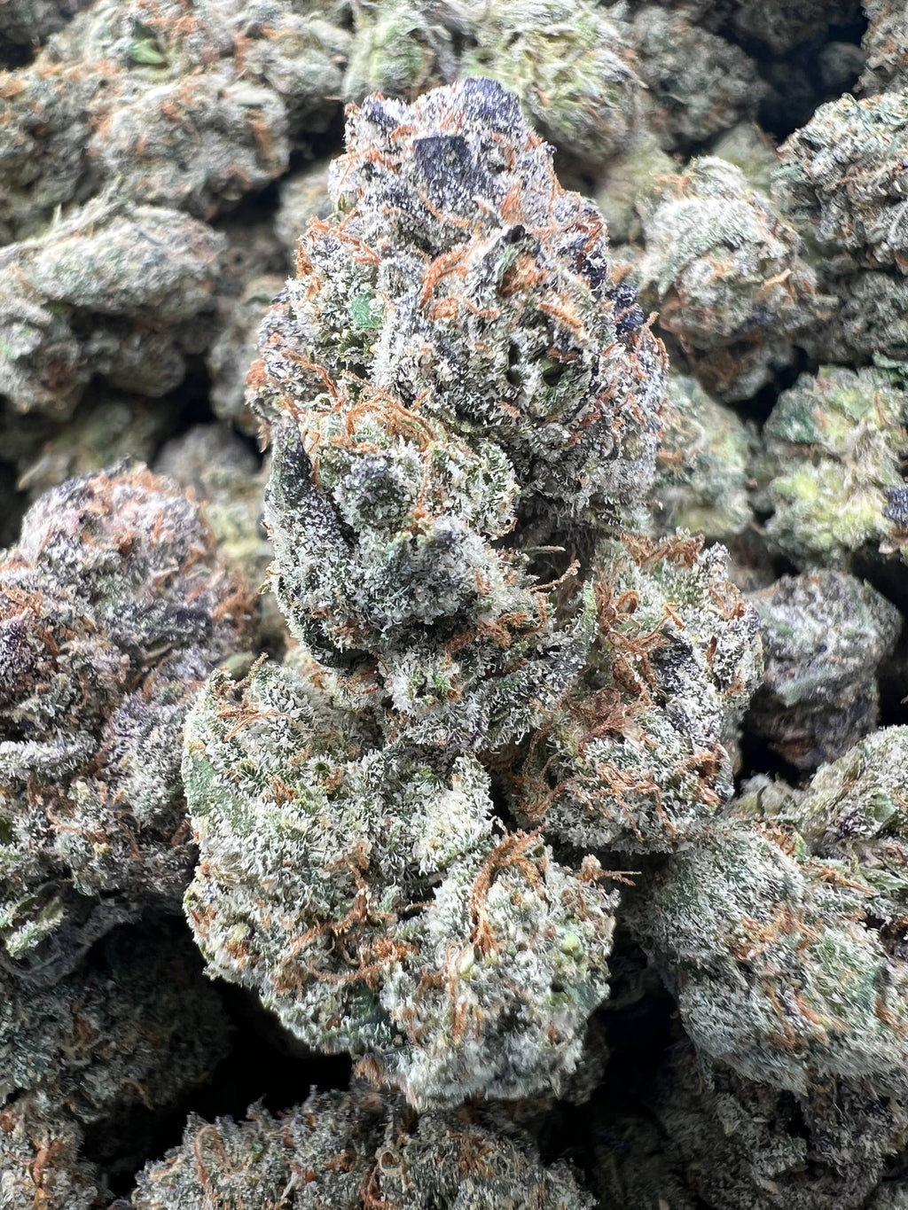 LEMON CANDIES [850]
