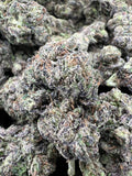 FROSTED RUNTZ [700]
