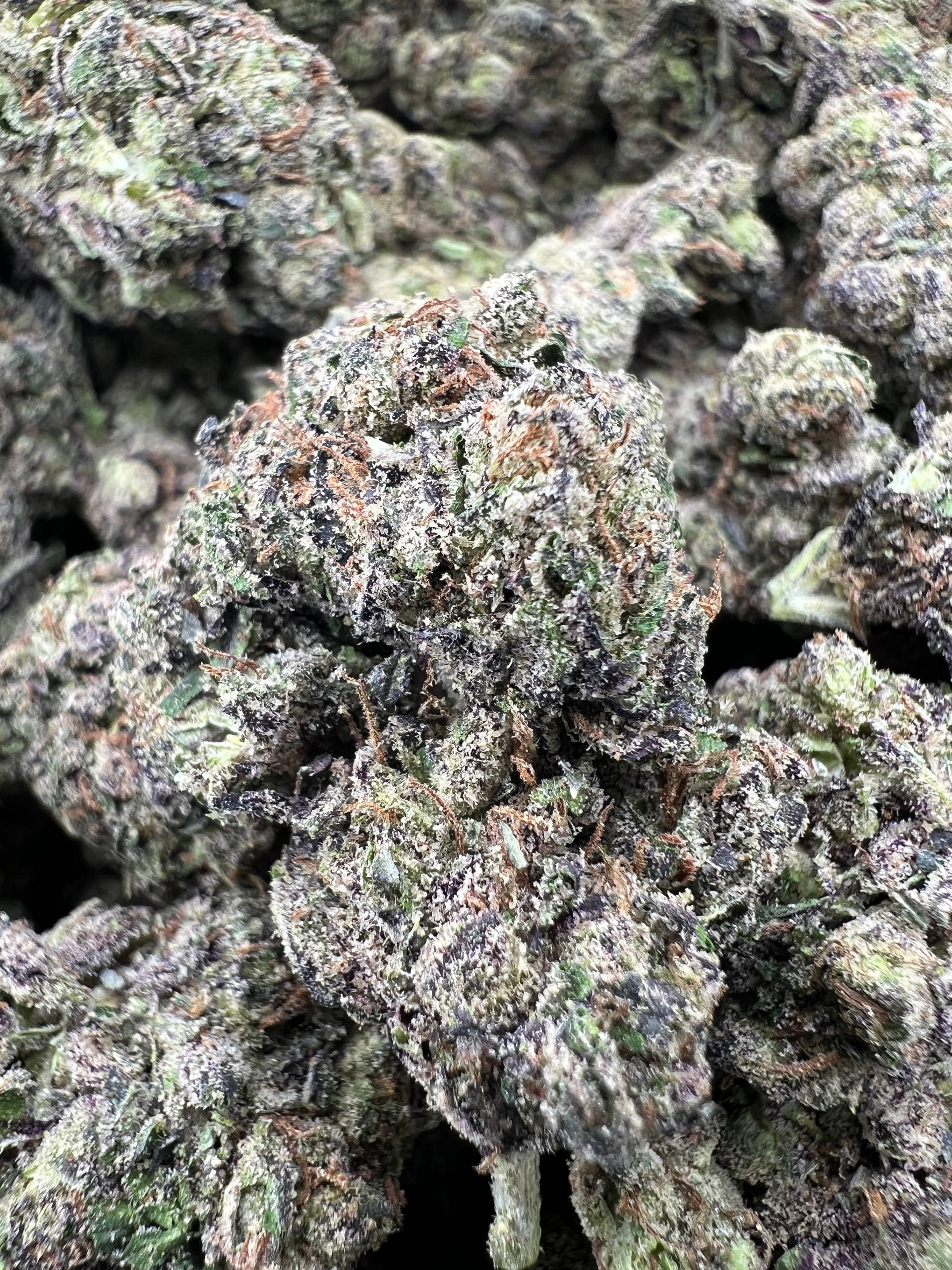 FROSTED RUNTZ [700]