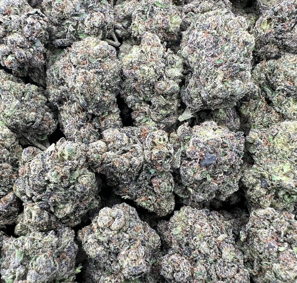 FROSTED RUNTZ [700]