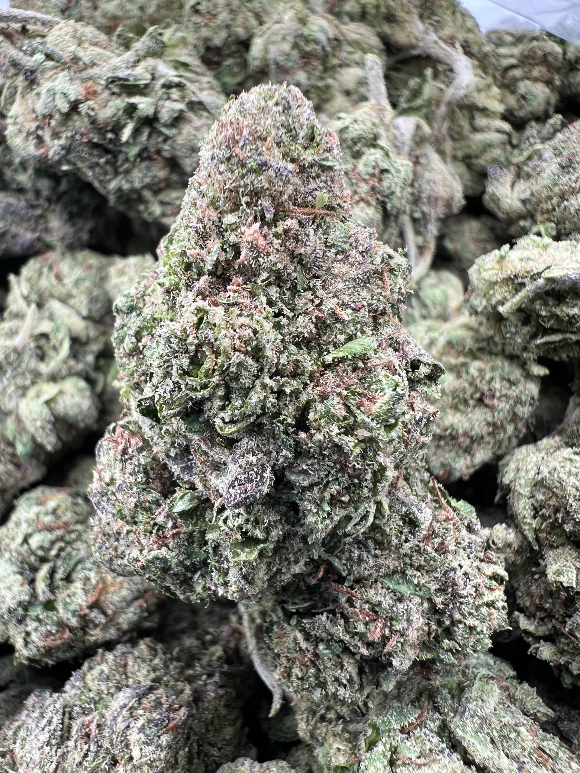 WATERMELON ZLUSHIE [650]