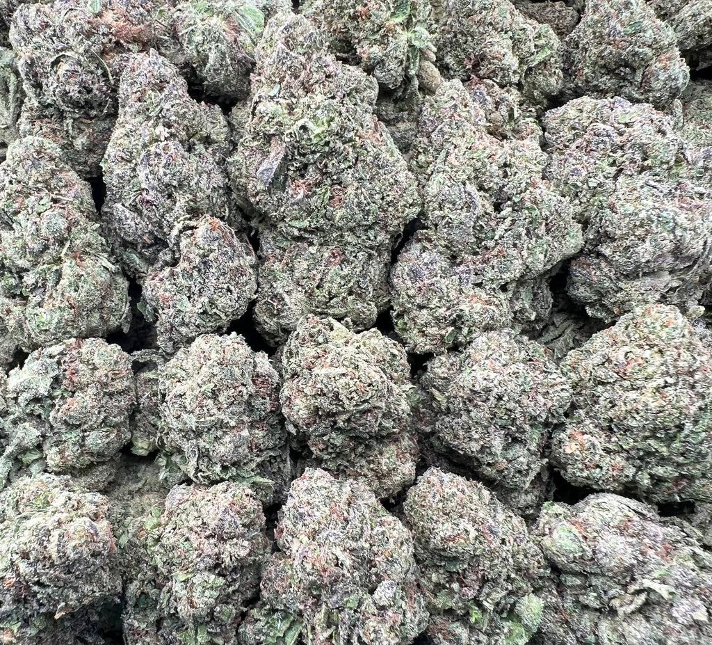WATERMELON ZLUSHIE [650]