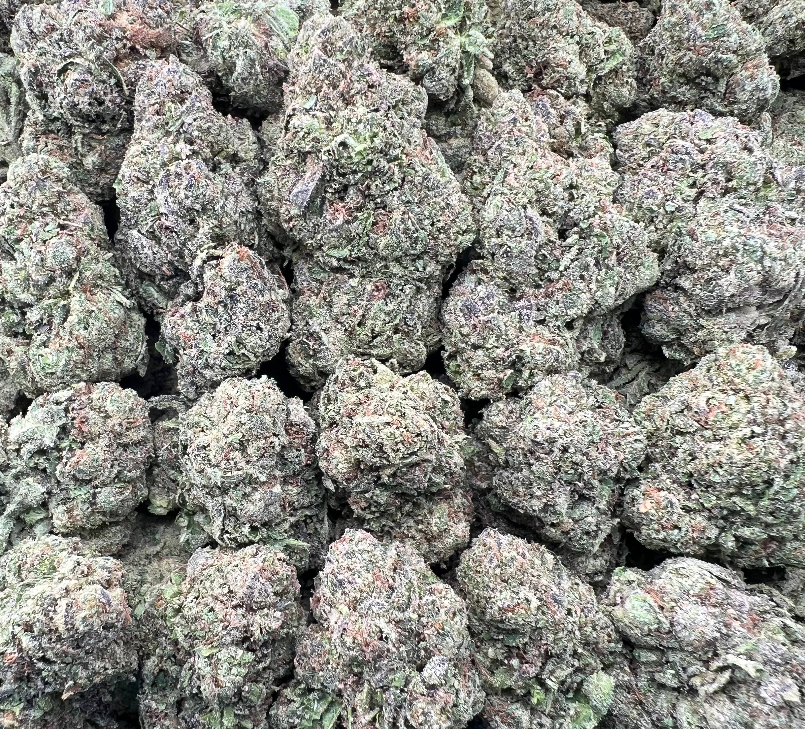 WATERMELON ZLUSHIE [650]
