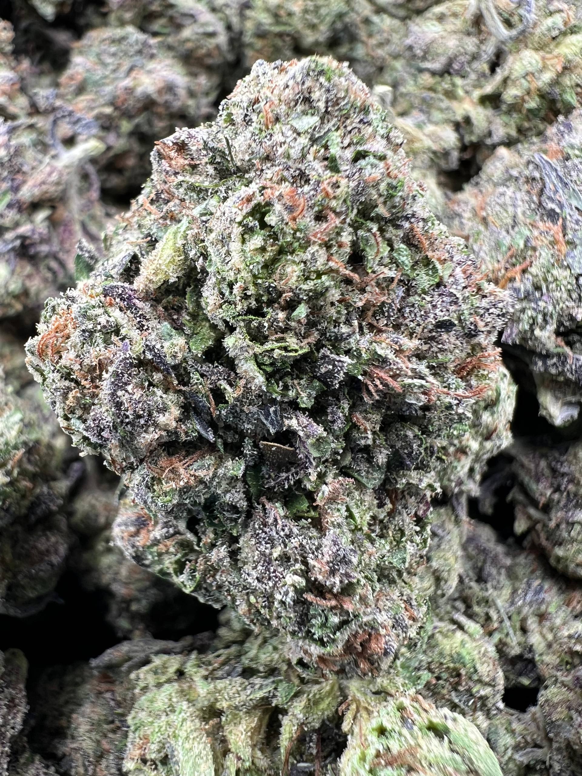 BLACK CHERRY GELATO [650]