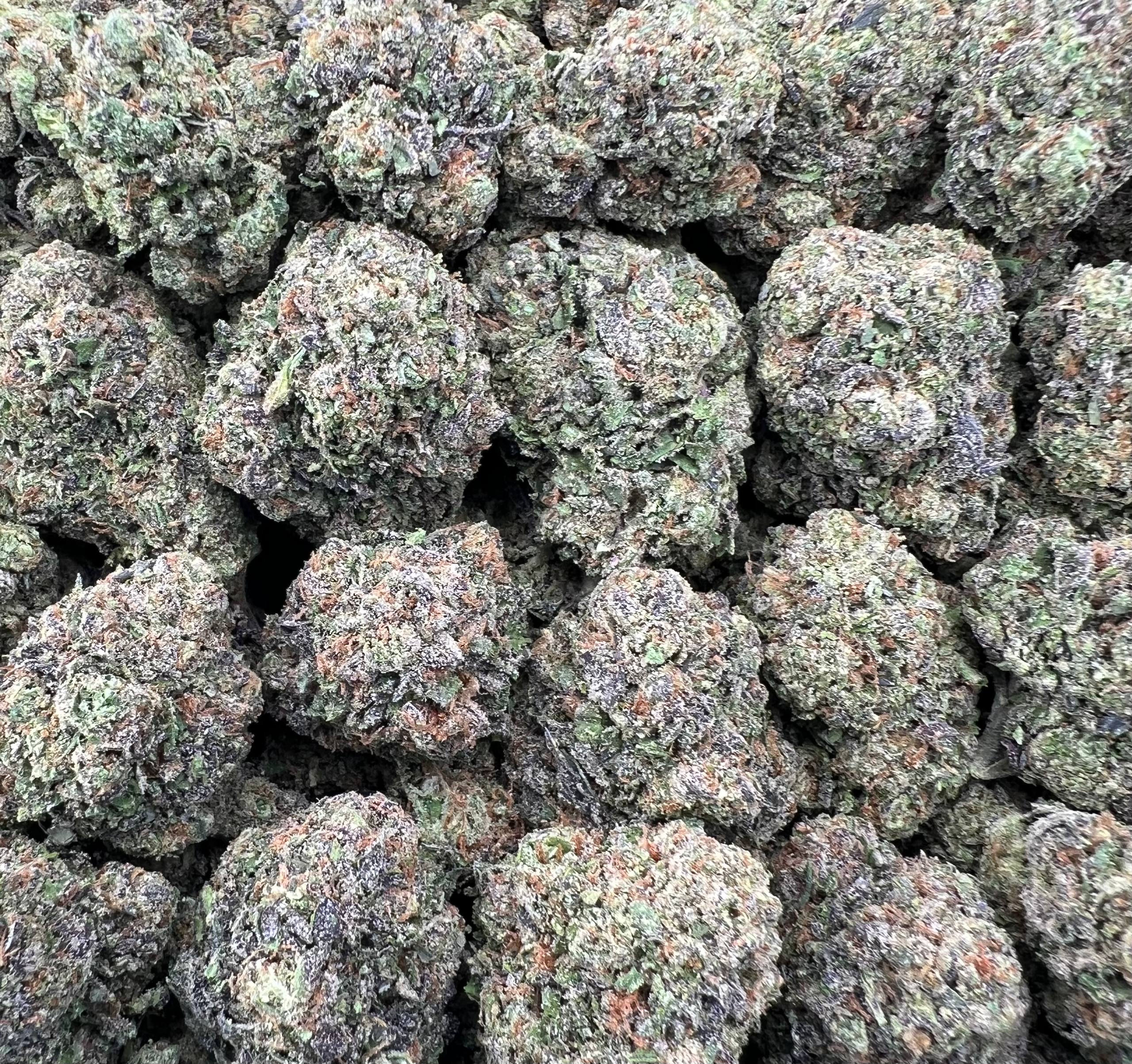 BLACK CHERRY GELATO [650]