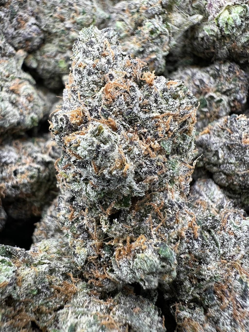 KLEENEX [1500]