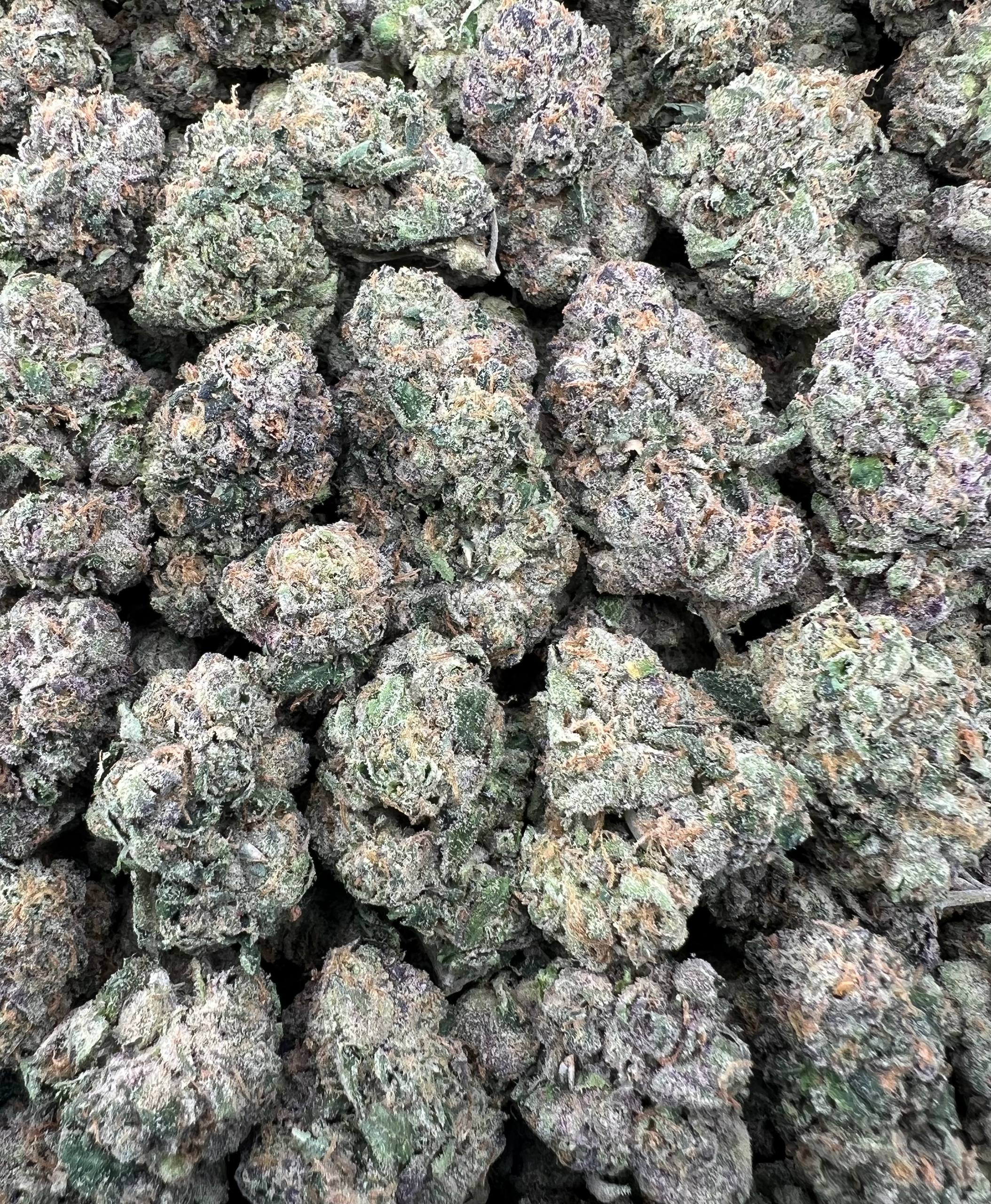 PINK GELATTI [1100]