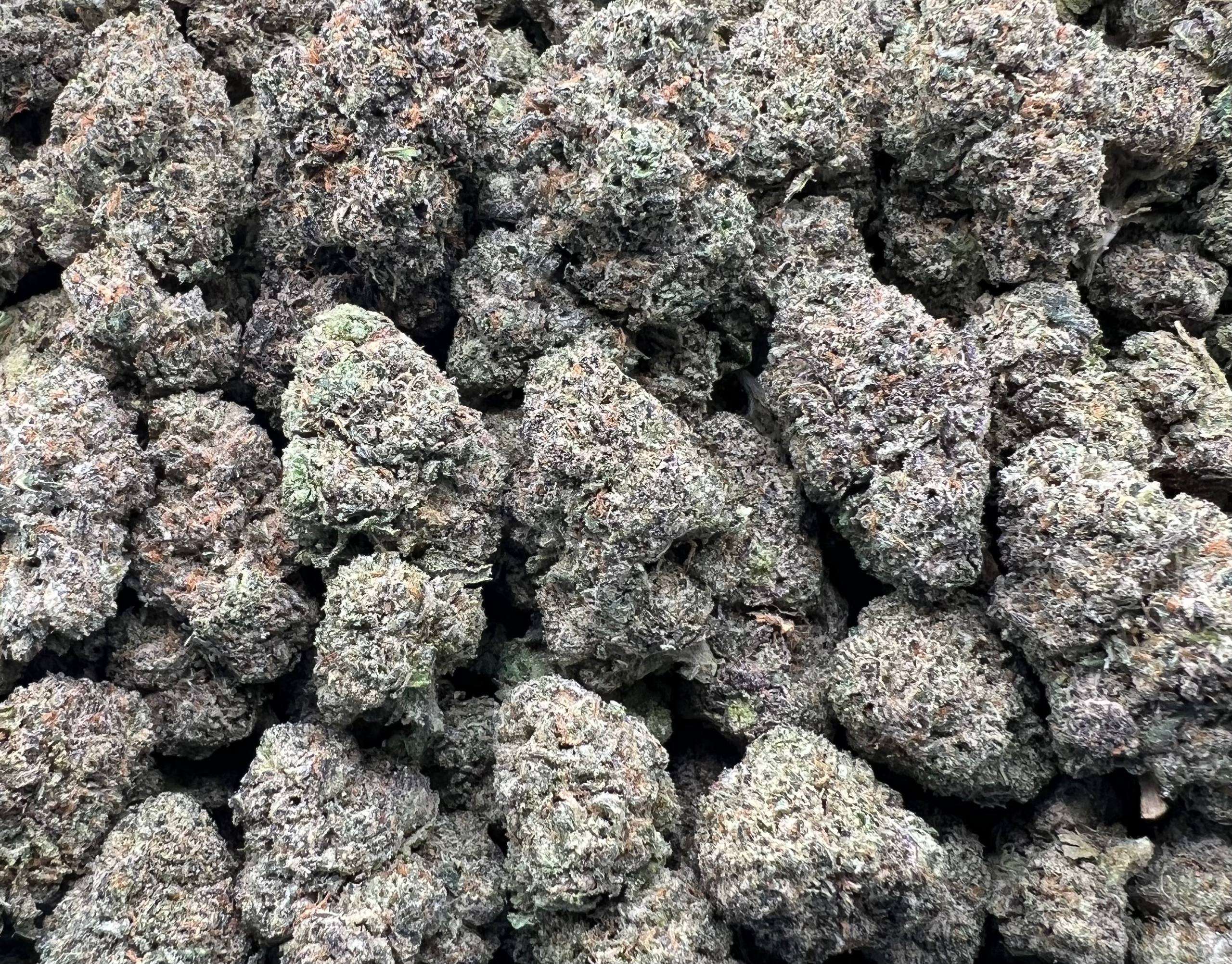 BLUE CHERRY BUBBLEGUM [850]