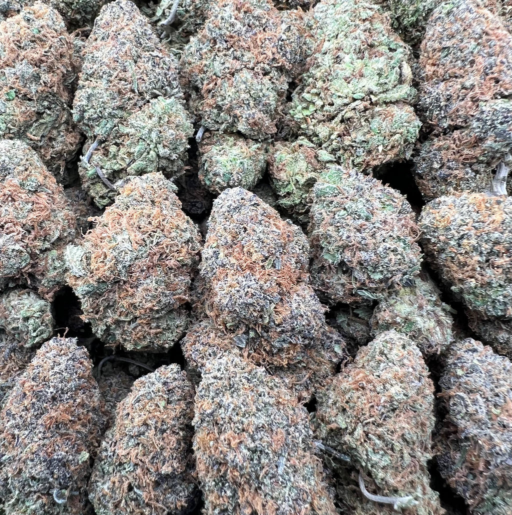 RED CHERRY GELATO [750]