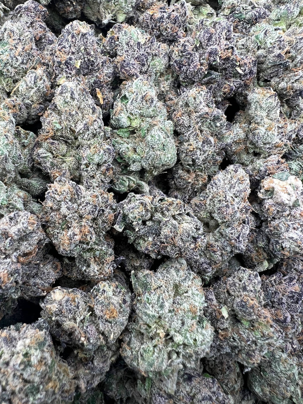 BLUE JOBSTOPPERZ [1100]