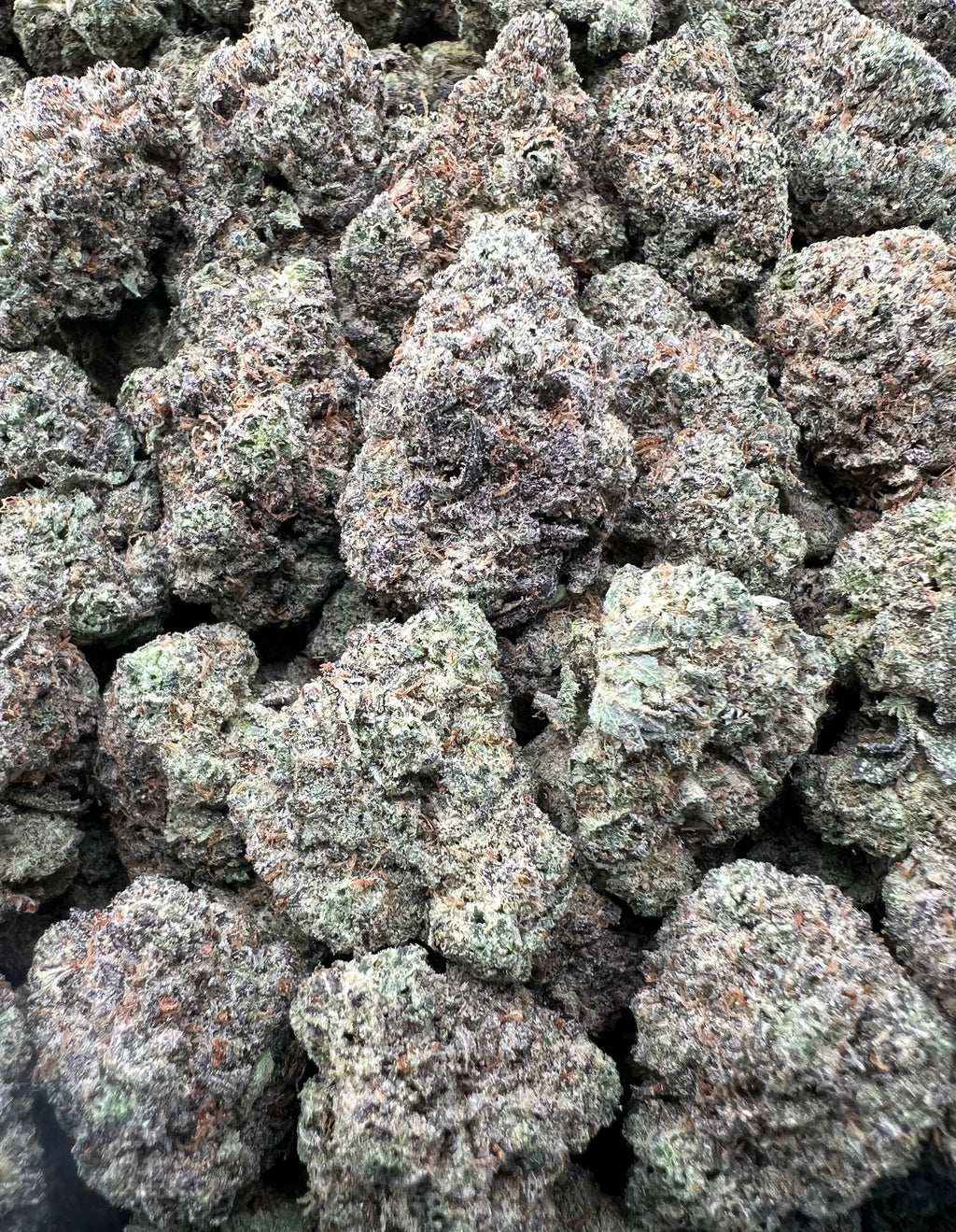 JOLLY RANCHER [775]