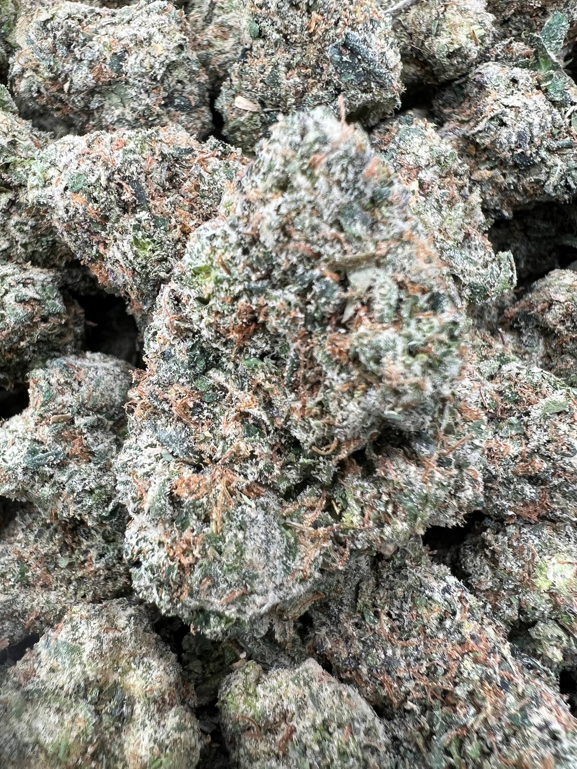 VERSACE CANDY [850]